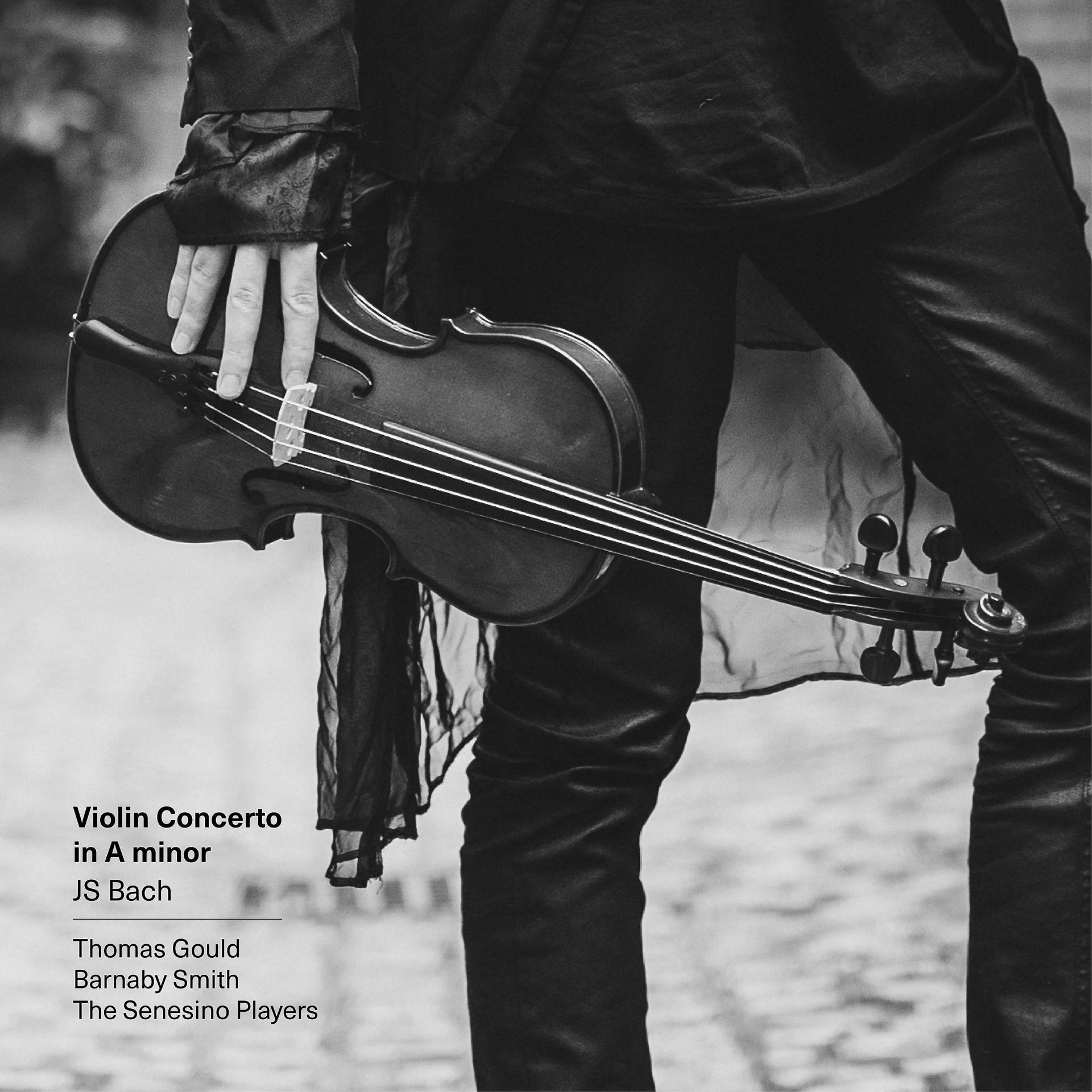 Постер альбома Violin Concerto in A Minor, BWV 1041