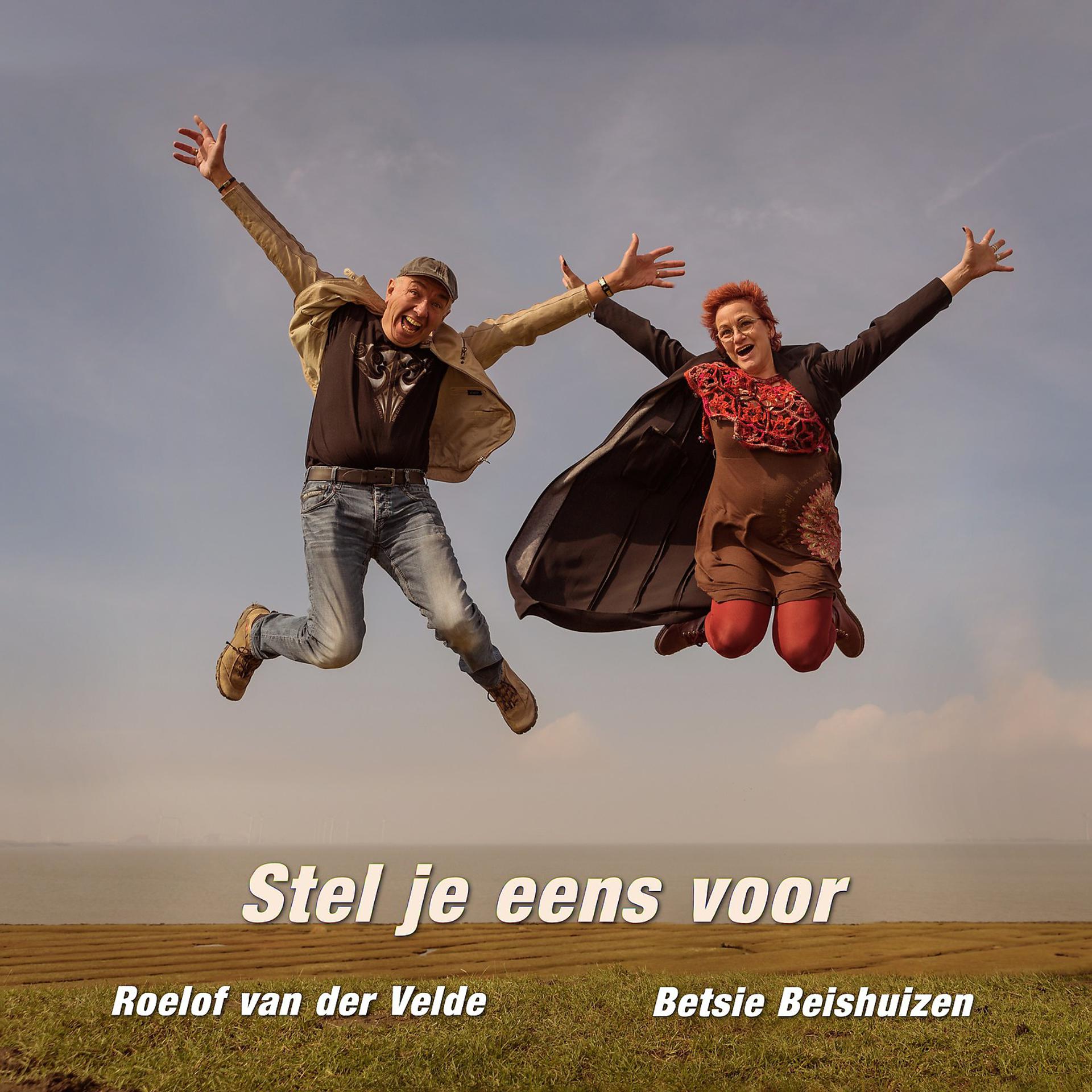 Постер альбома Stel Je Eens Voor