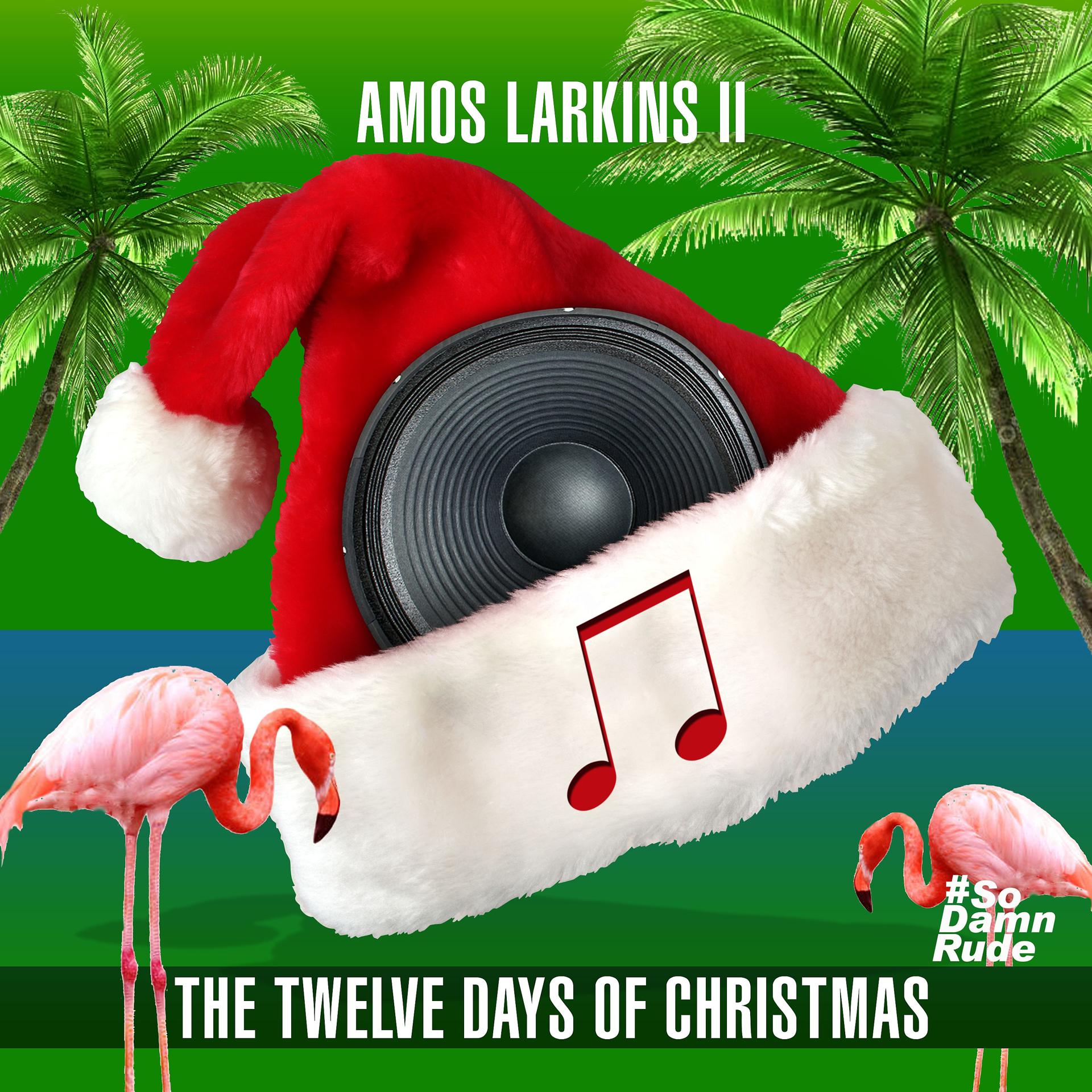 Постер альбома The Twelve Days of Christmas