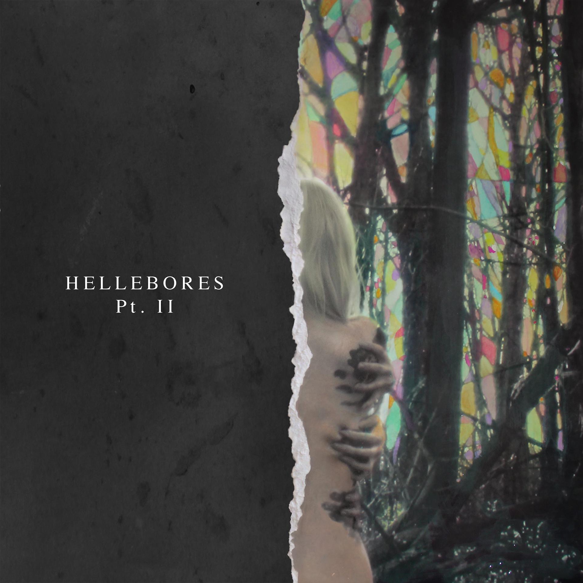Постер альбома Hellebores, Pt. II
