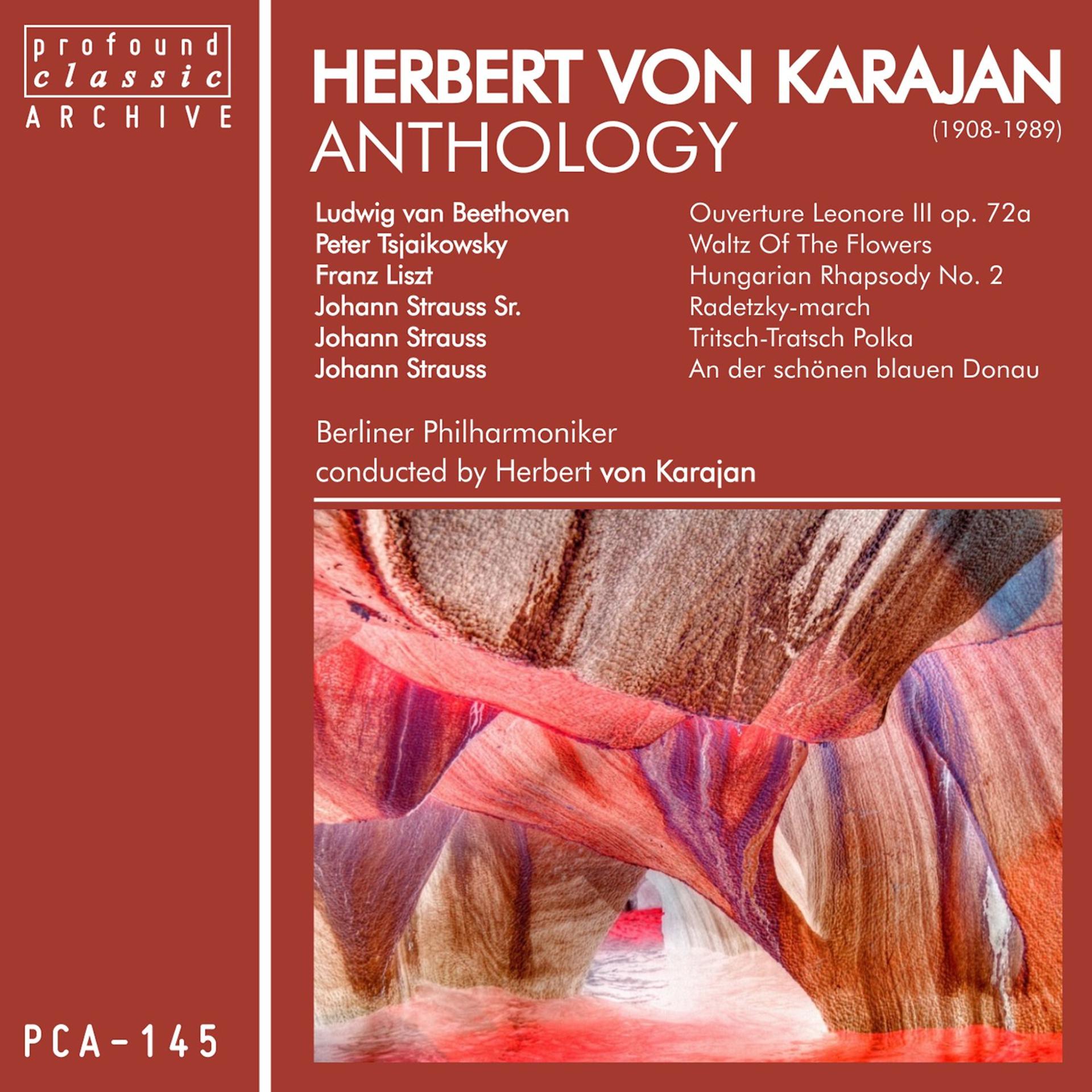 Постер альбома Herbert Von Karajan Anthology