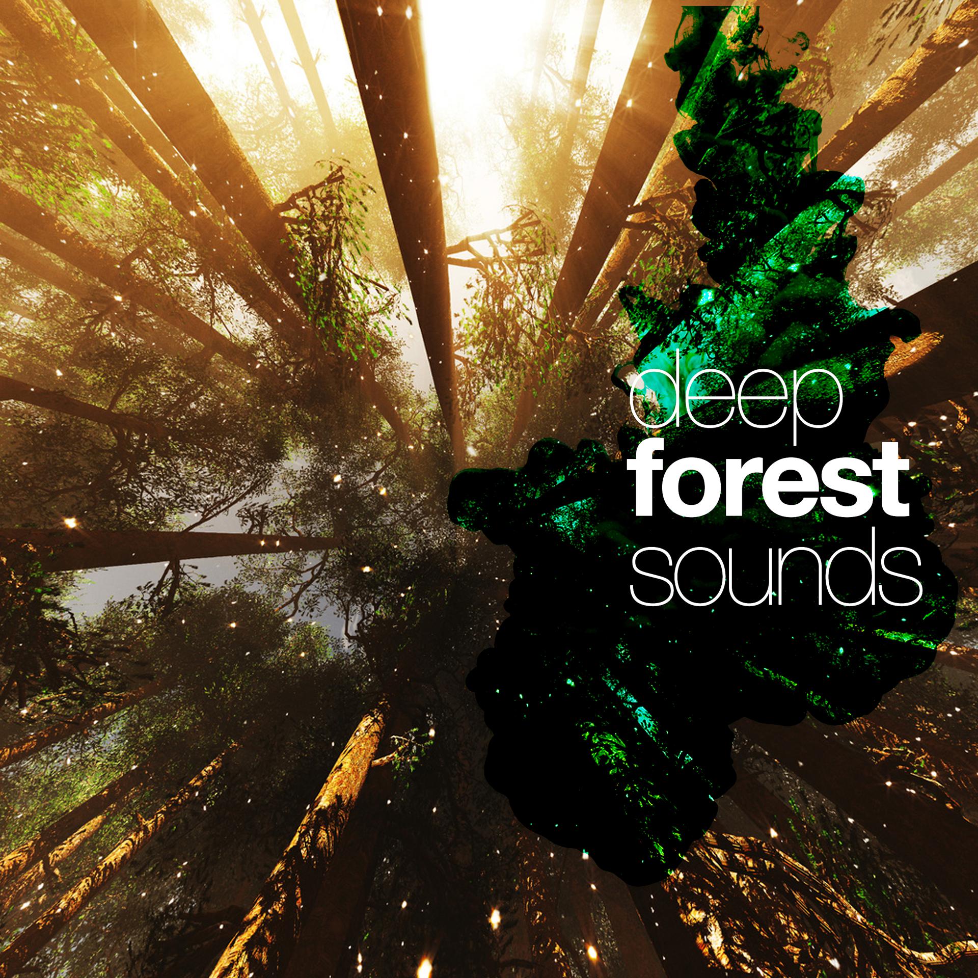 Постер альбома Deep Forest Sounds