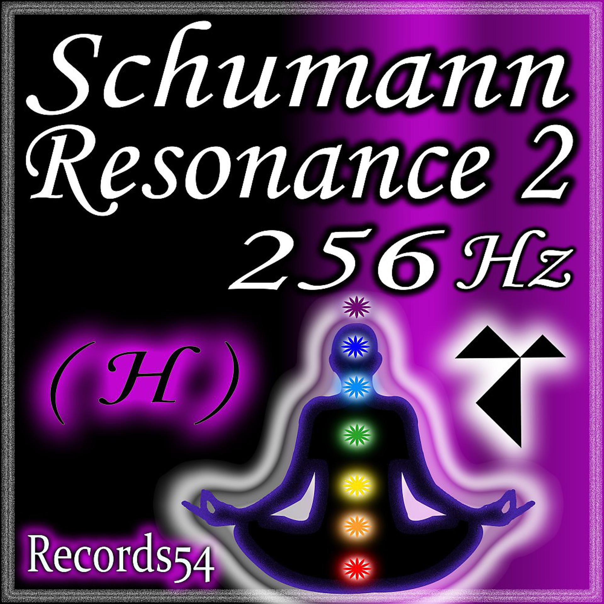 Постер альбома Schumann Resonance 2: 256 Hz H