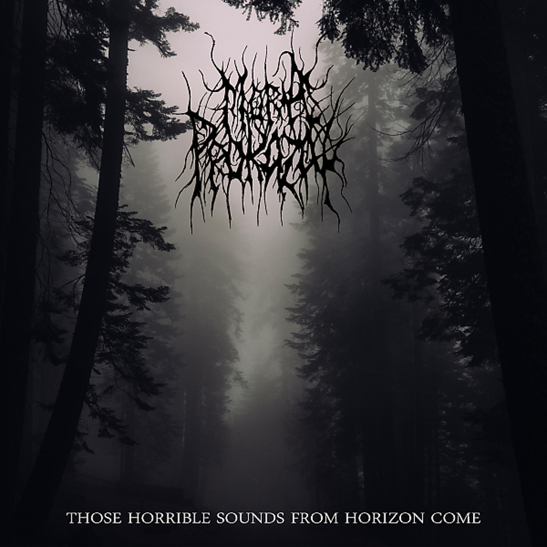Постер альбома Those Horrible Sounds From Horizon Come