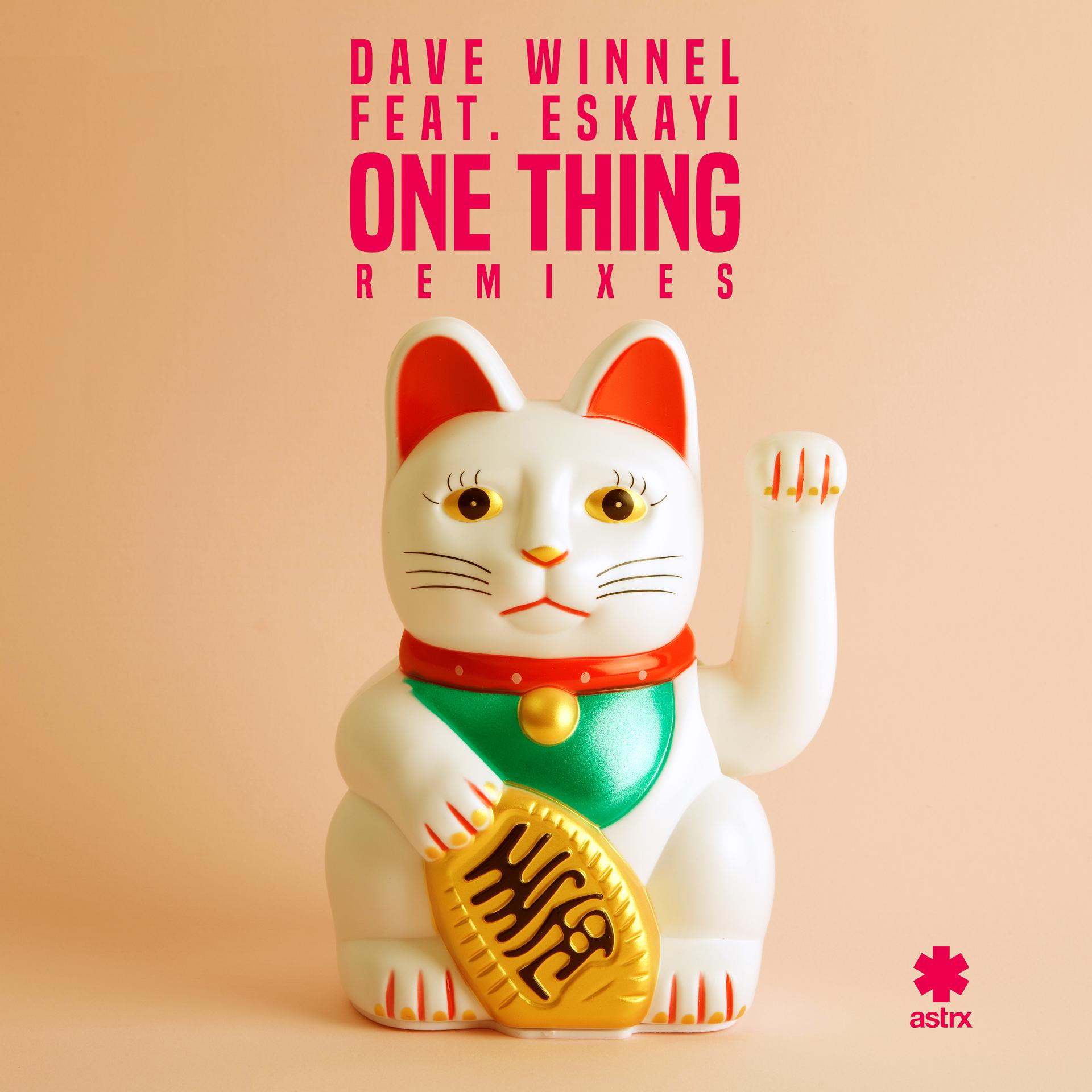 Постер альбома One Thing (Remixes)