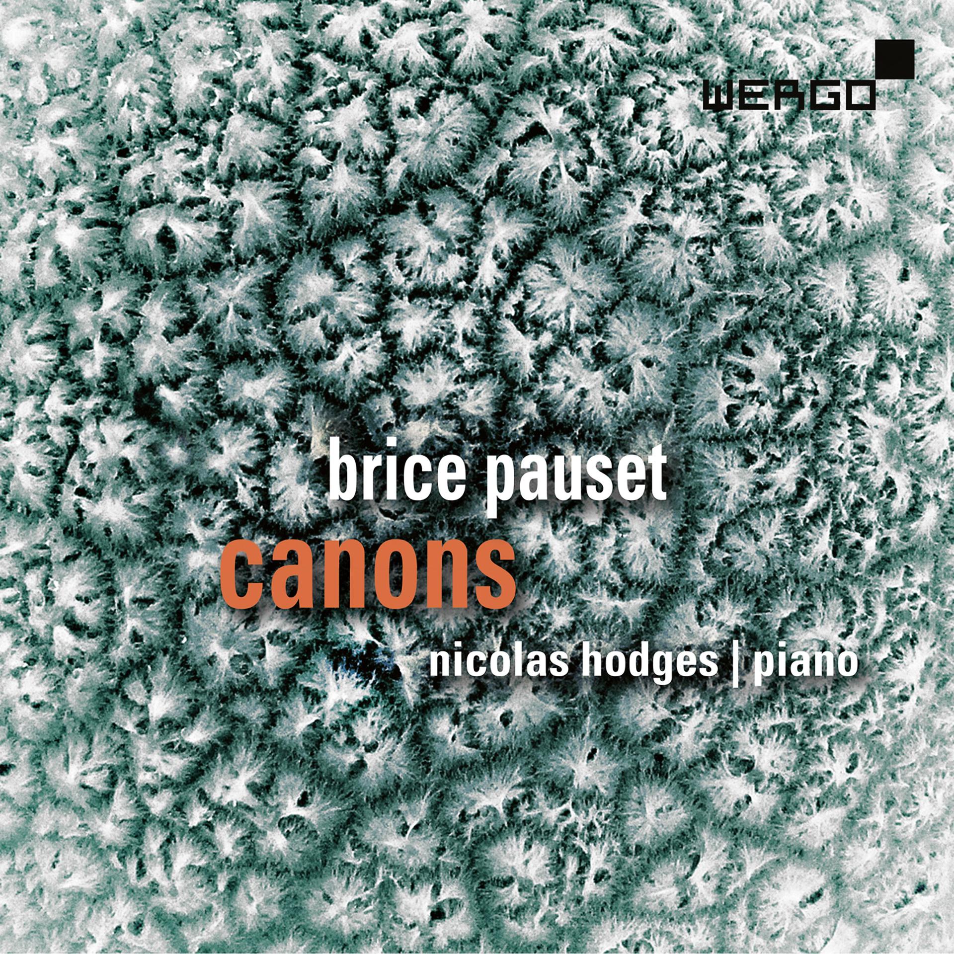 Постер альбома Pauset: Canons