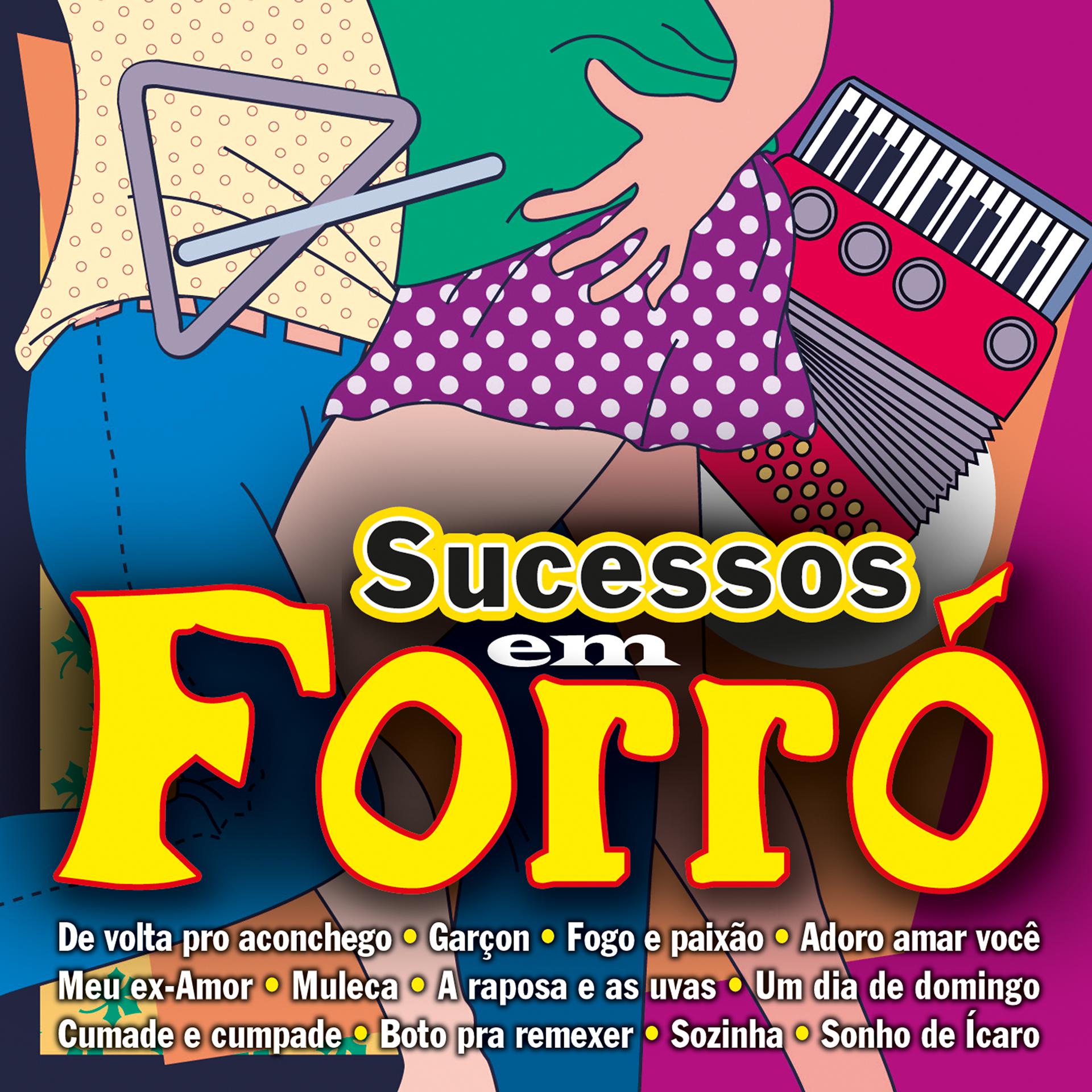 Постер альбома Sucessos em Forró
