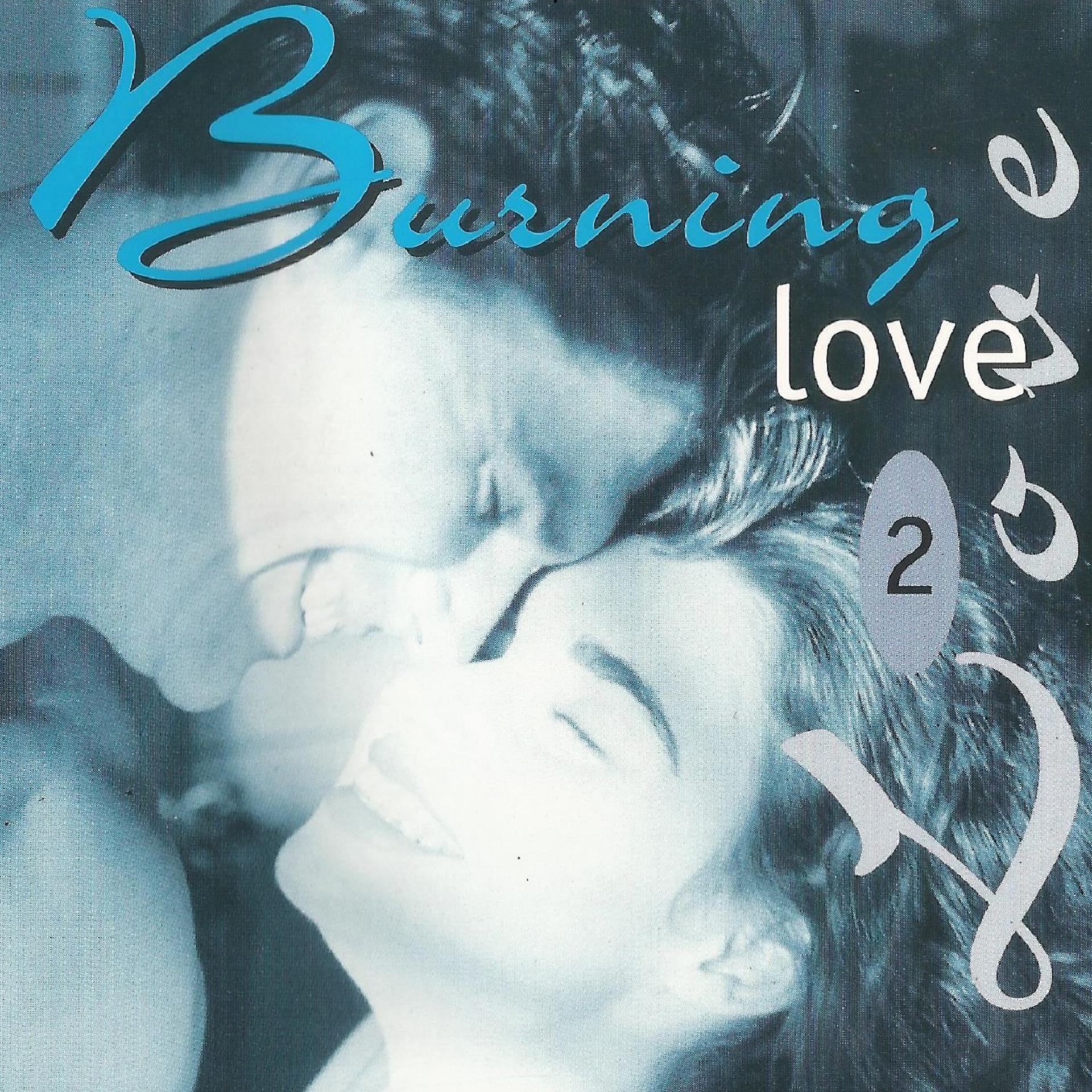Постер альбома Burning Love 2