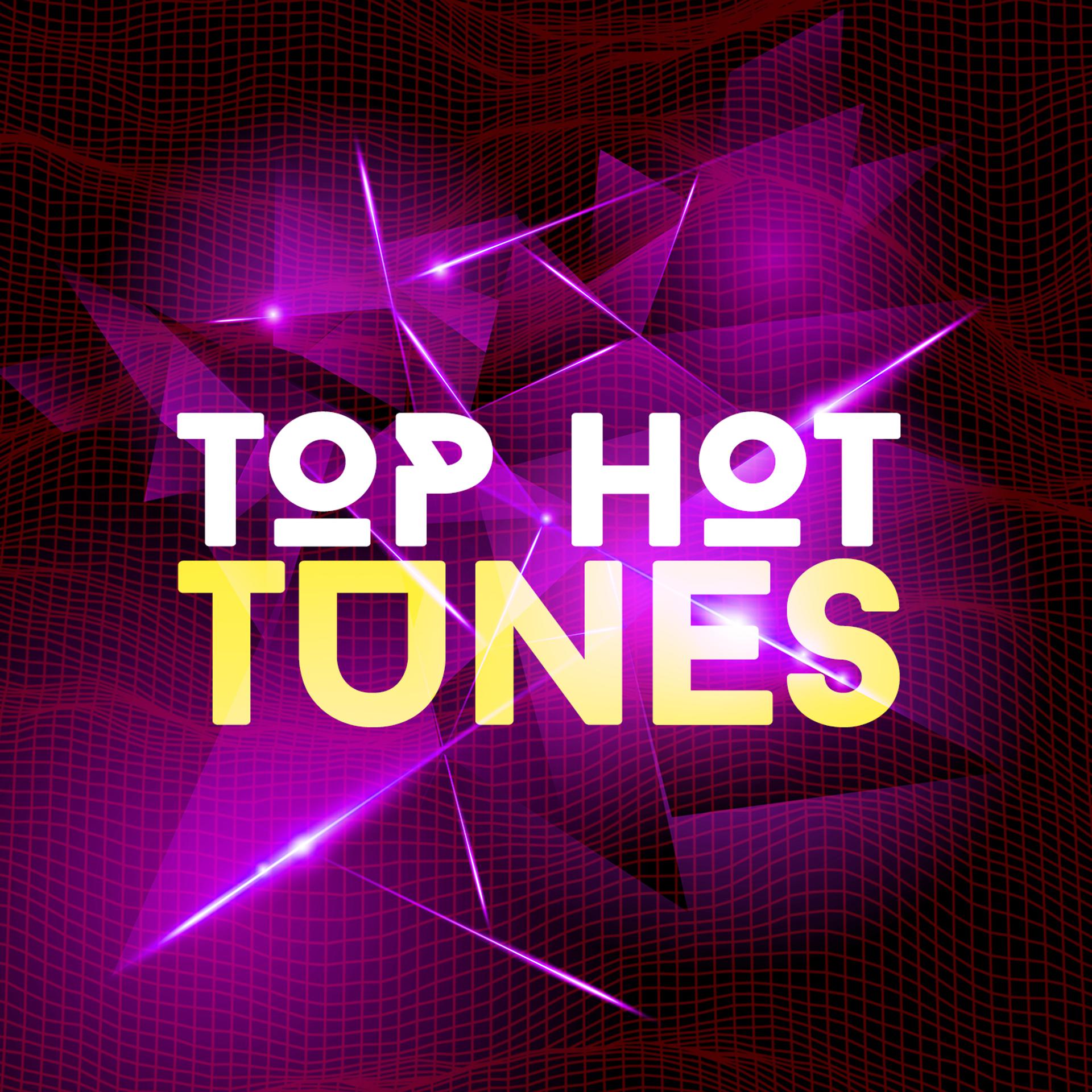 Постер альбома Top Hot Tunes