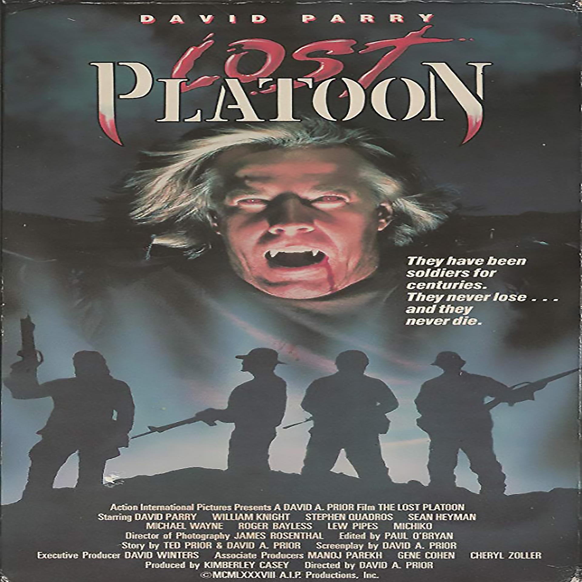 Постер альбома Lost Platoon (Original Motion Picture Soundtrack)