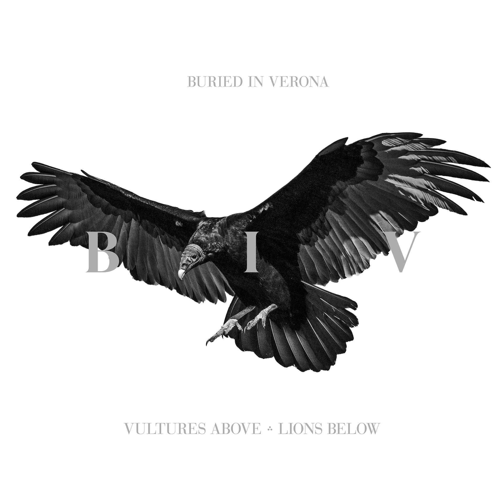 Постер альбома Vultures Above, Lions Below