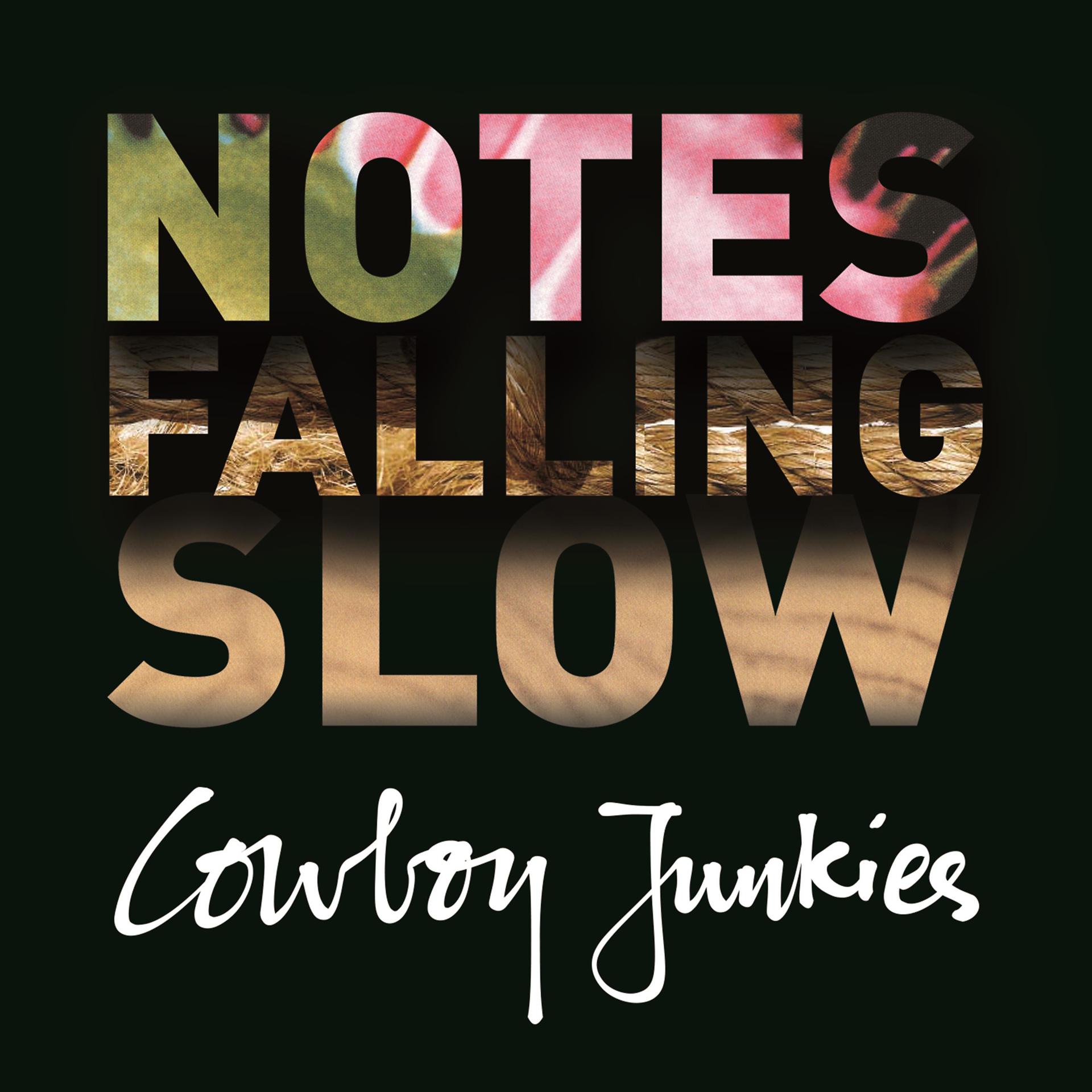 Постер альбома Notes Falling Slow