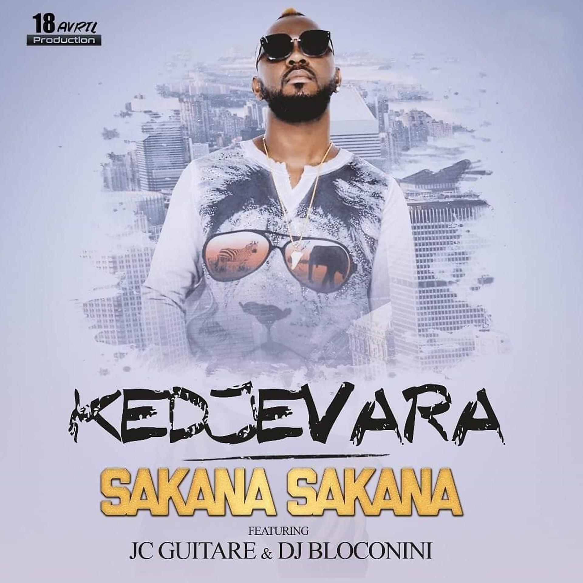 Постер альбома Sakana Sakana