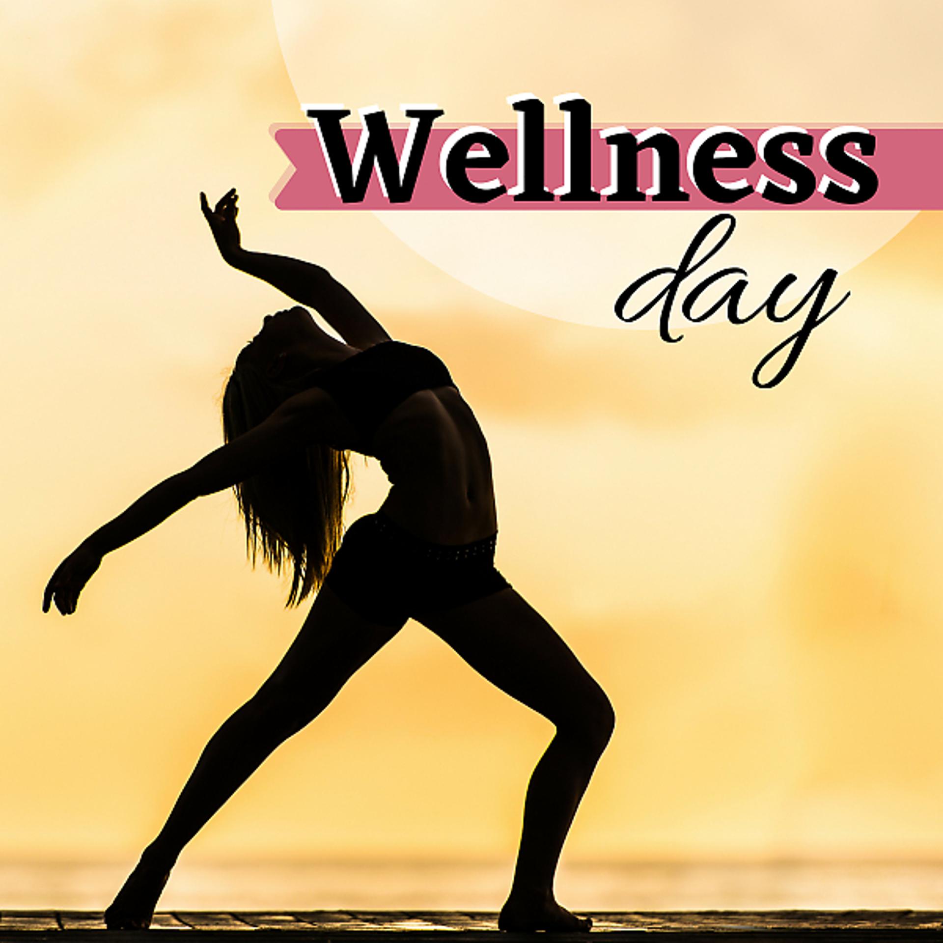 Постер альбома Wellness Day: New Age Instrumental Collection with Nature Sounds