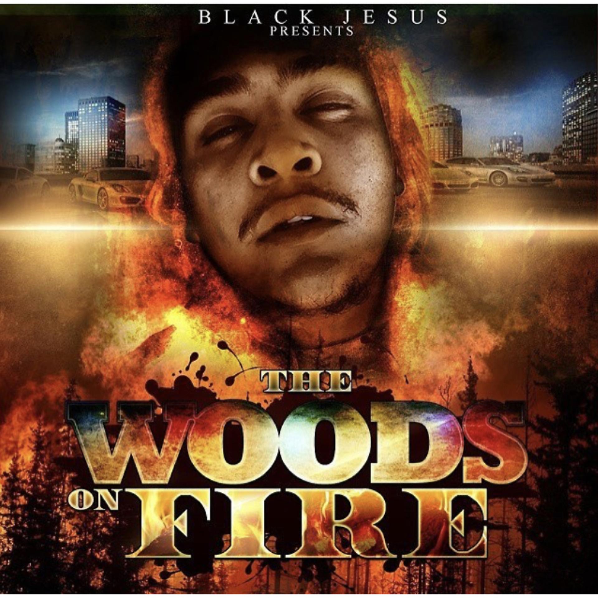 Постер альбома The Woods On Fire