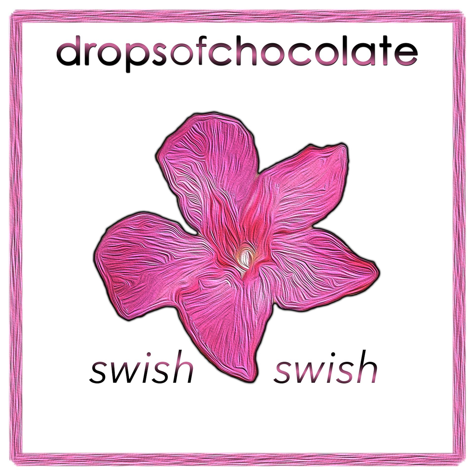 Постер альбома Swish Swish