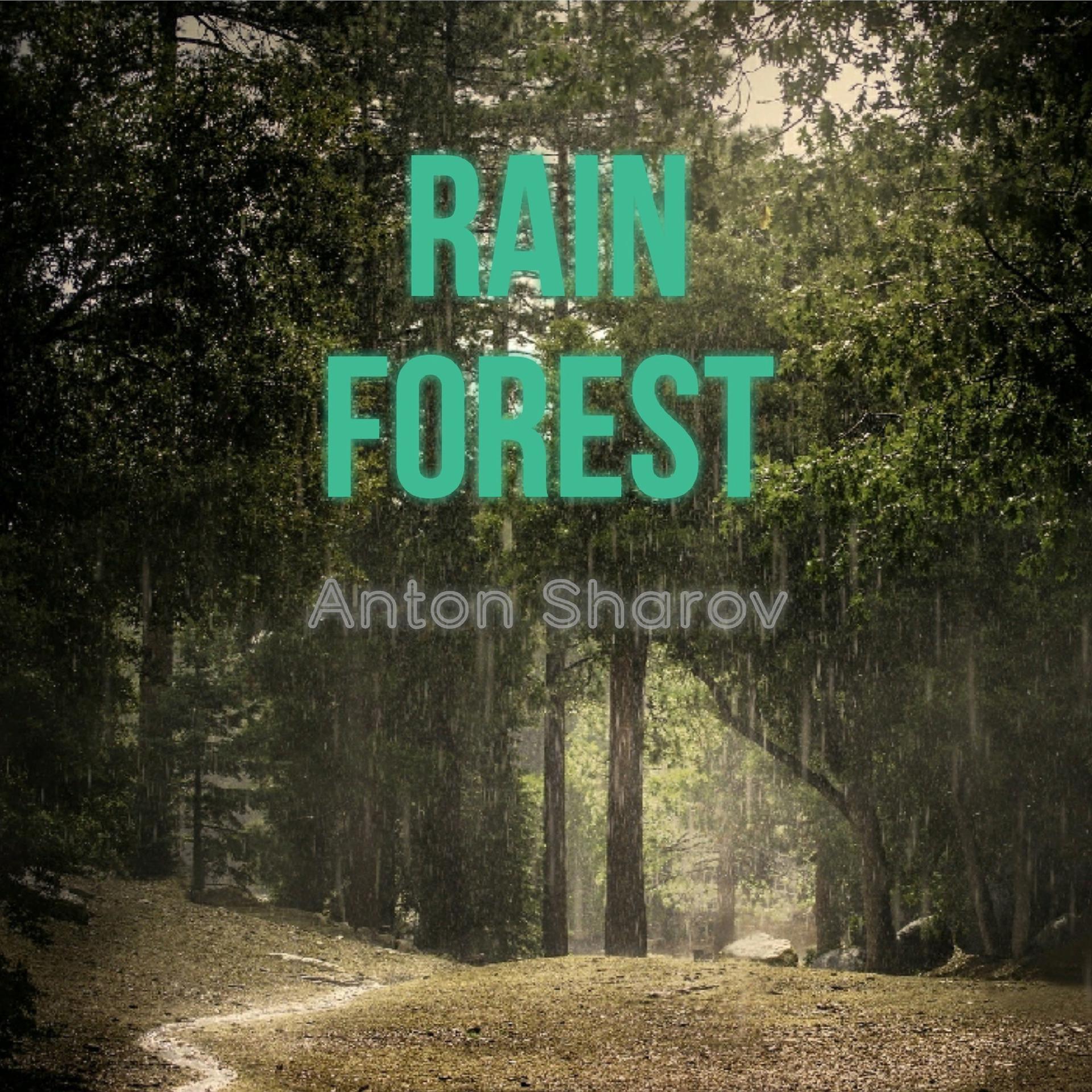 Постер альбома Rain Forest