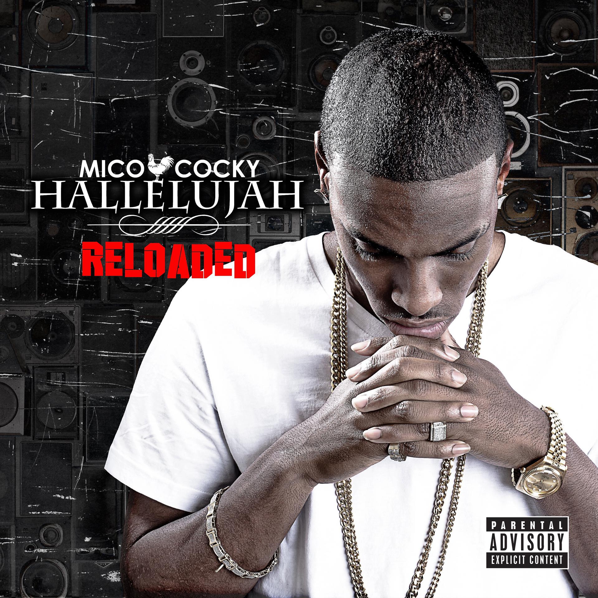 Постер альбома Hallelujah: Reloaded