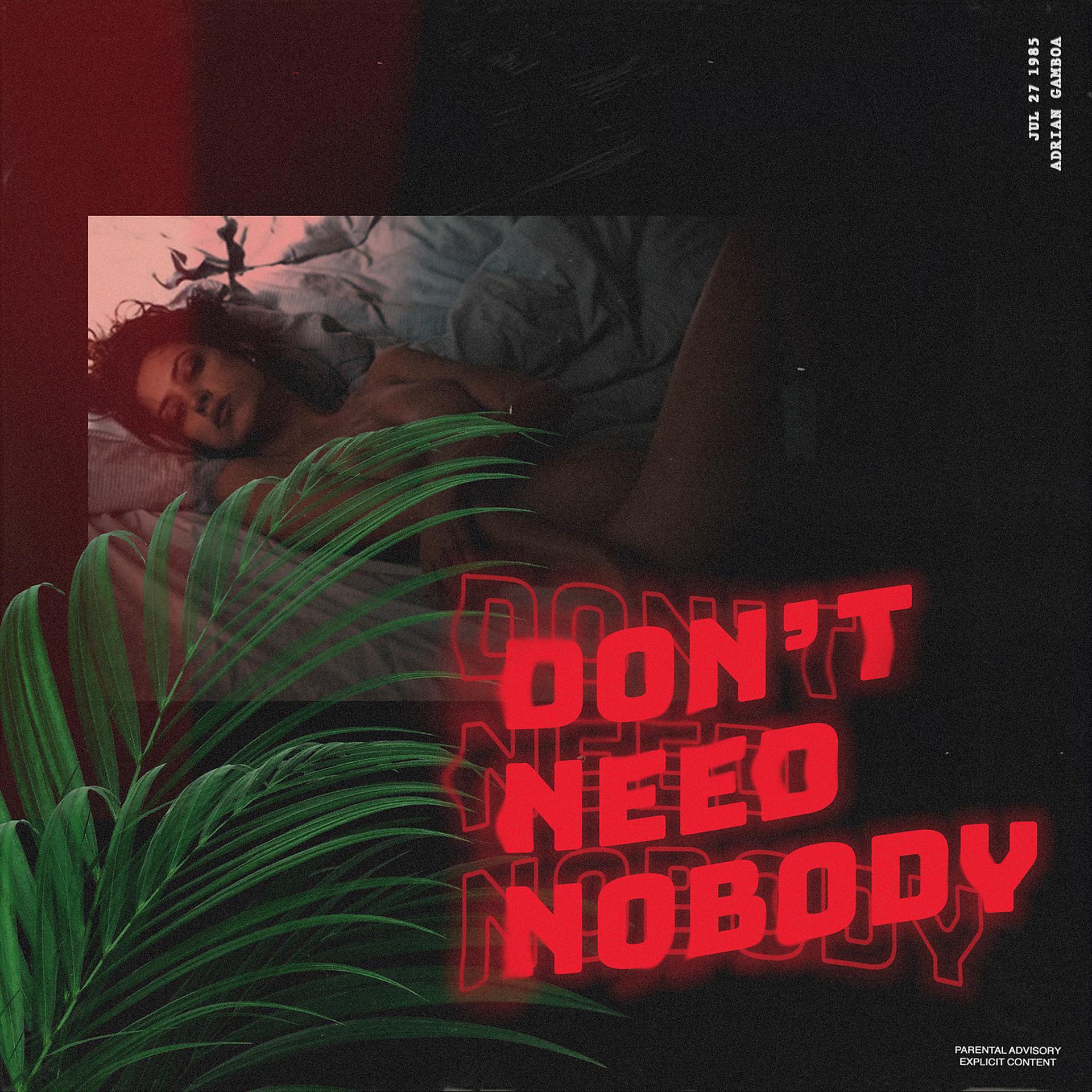 Постер альбома Don't Need Nobody