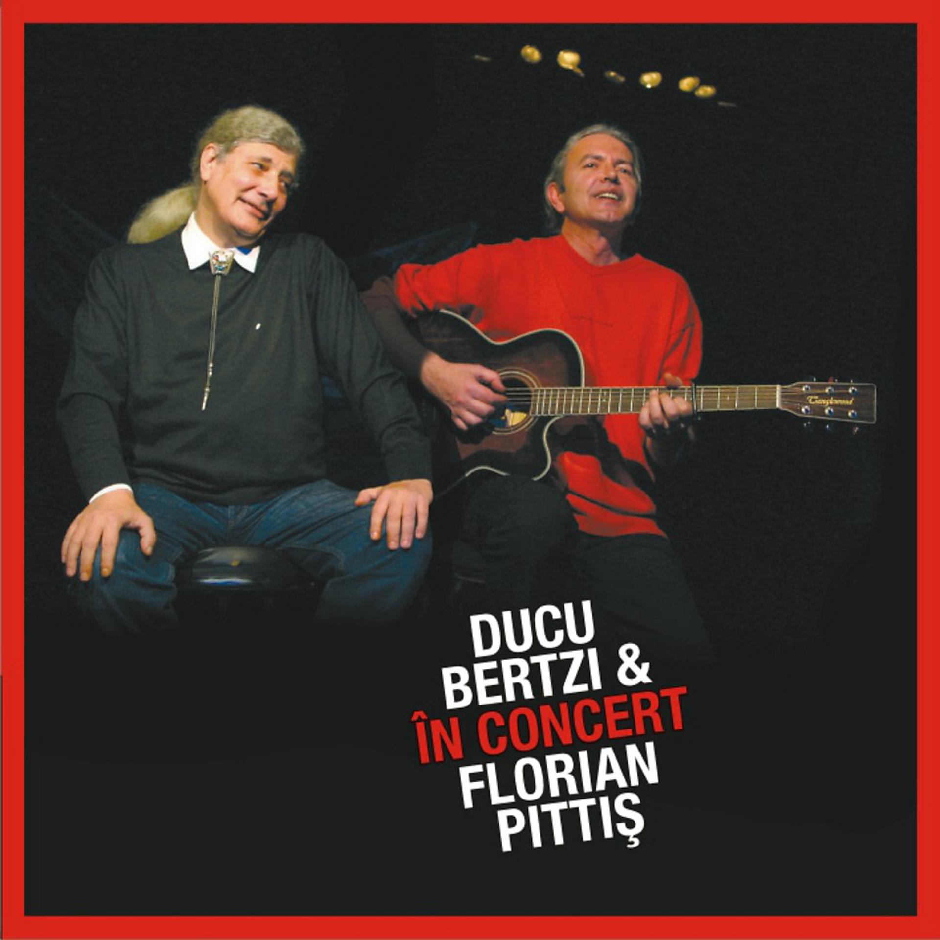 Постер альбома Ducu Bertzi & Florian Pittis in concert