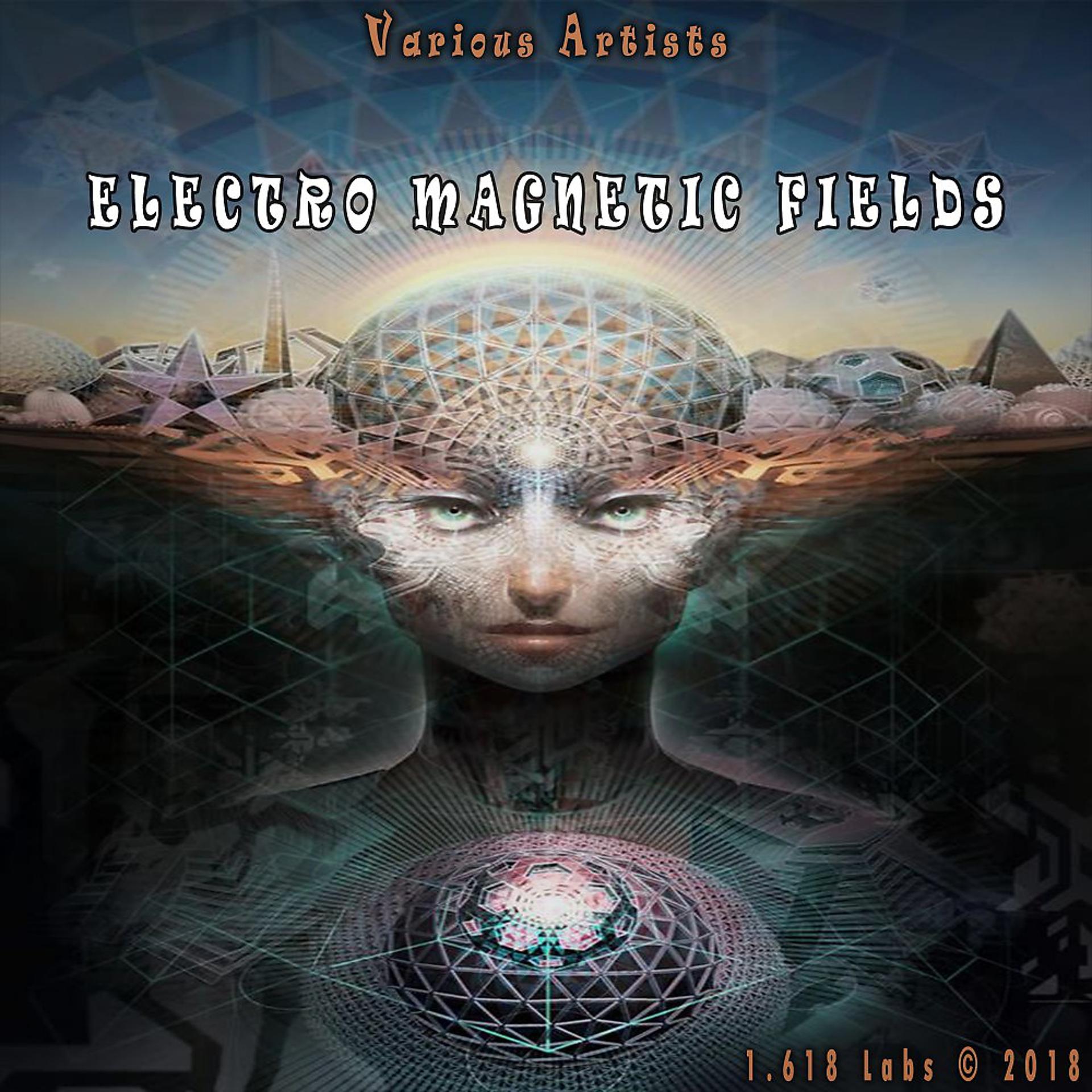 Постер альбома Electro Magnetic Fields