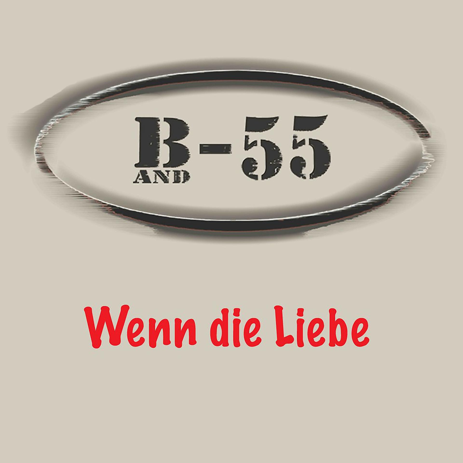 Постер альбома Wenn die Liebe