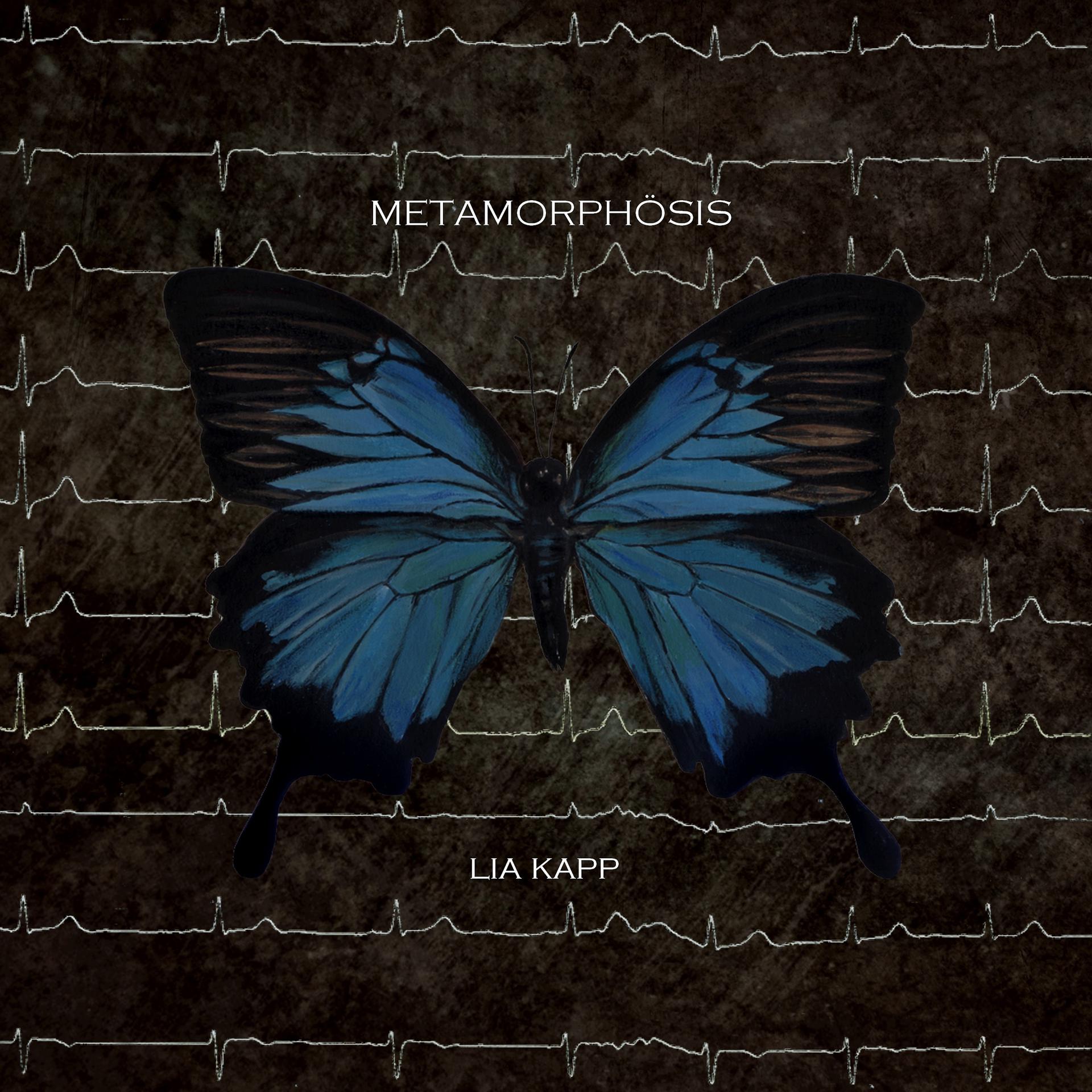 Постер альбома Metamorphösis