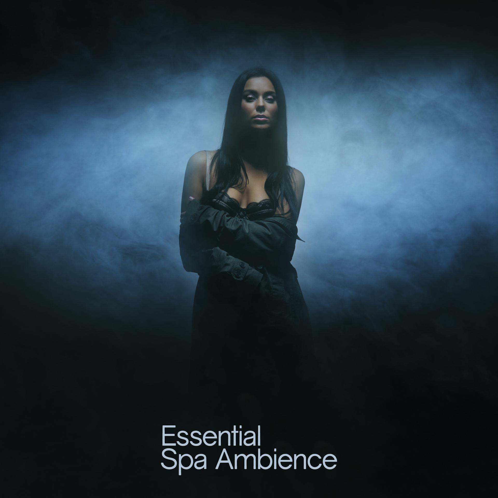 Постер альбома Essential Spa Ambience