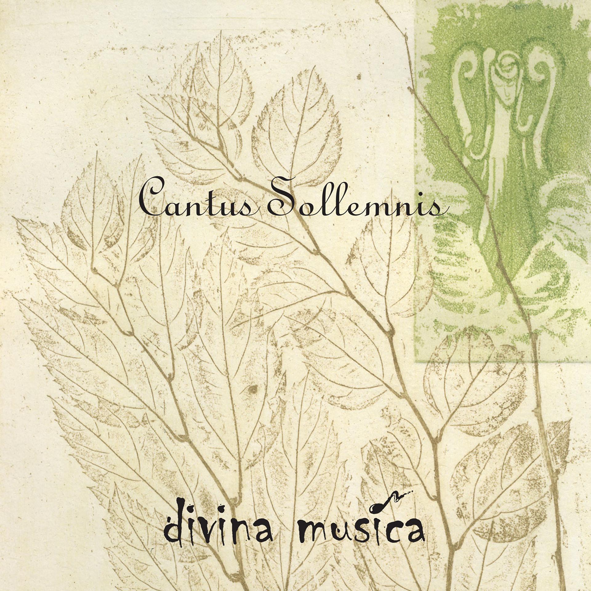 Постер альбома Cantus Sollemnis