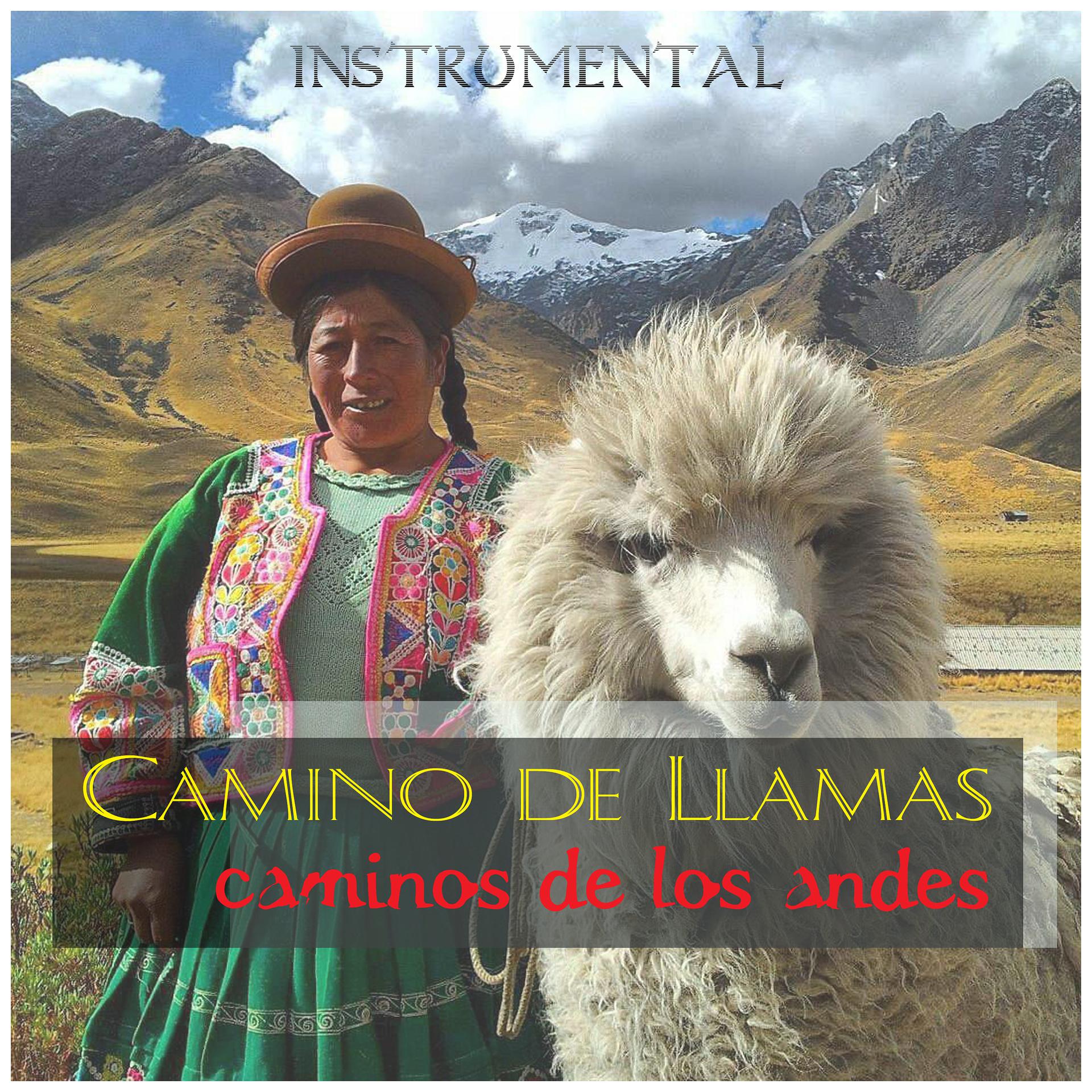 Постер альбома Camino de Llamas, Caminos de los Andes - Instrumental