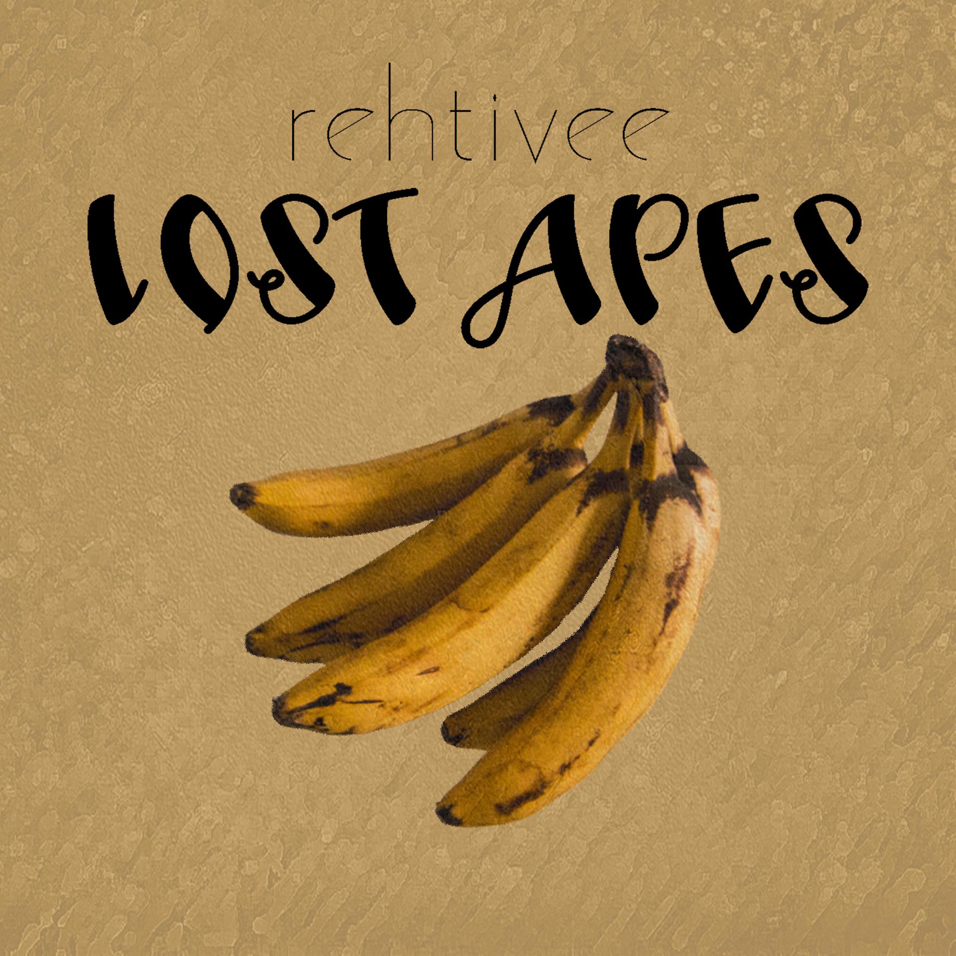 Постер альбома Lost Apes