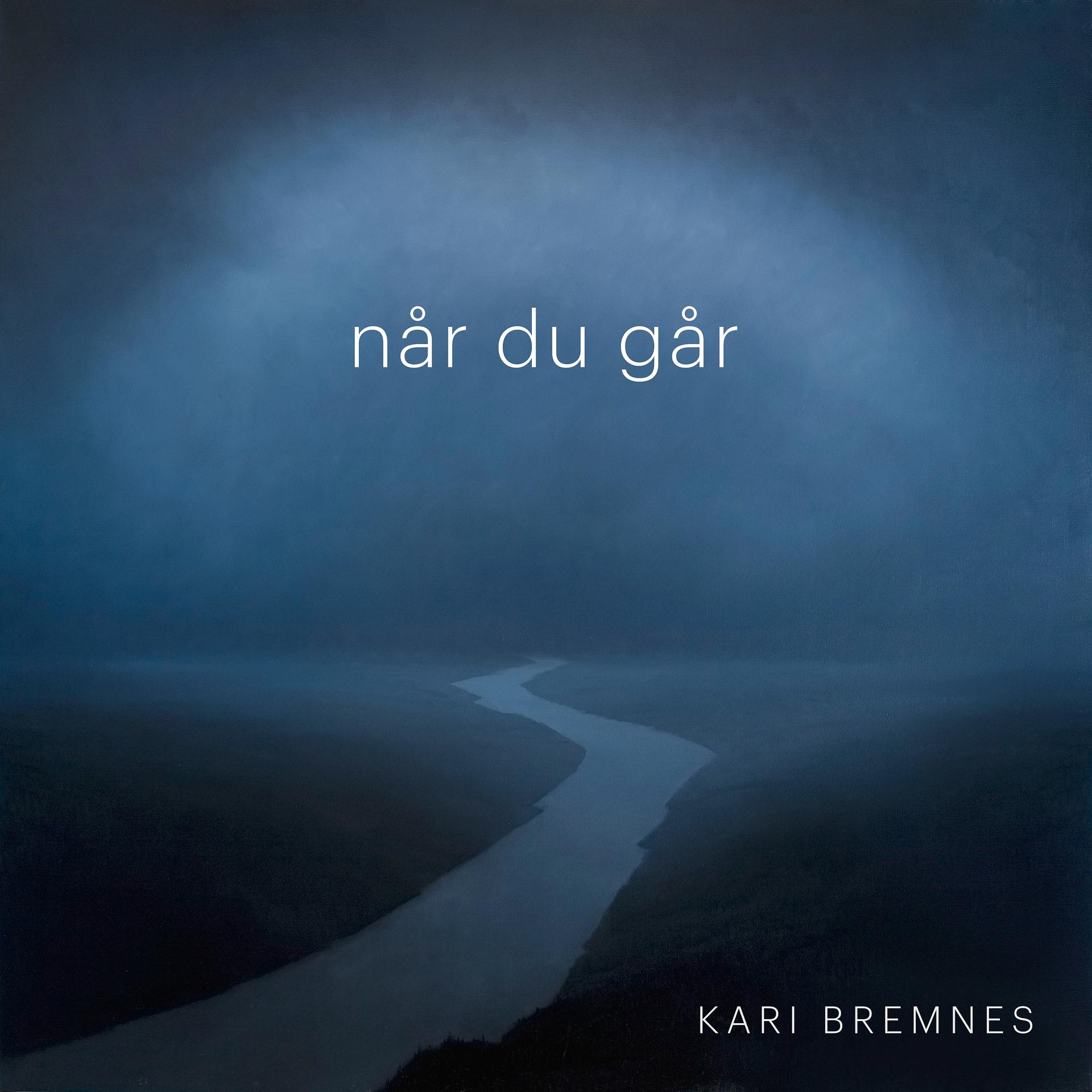 Постер альбома Når Du Går