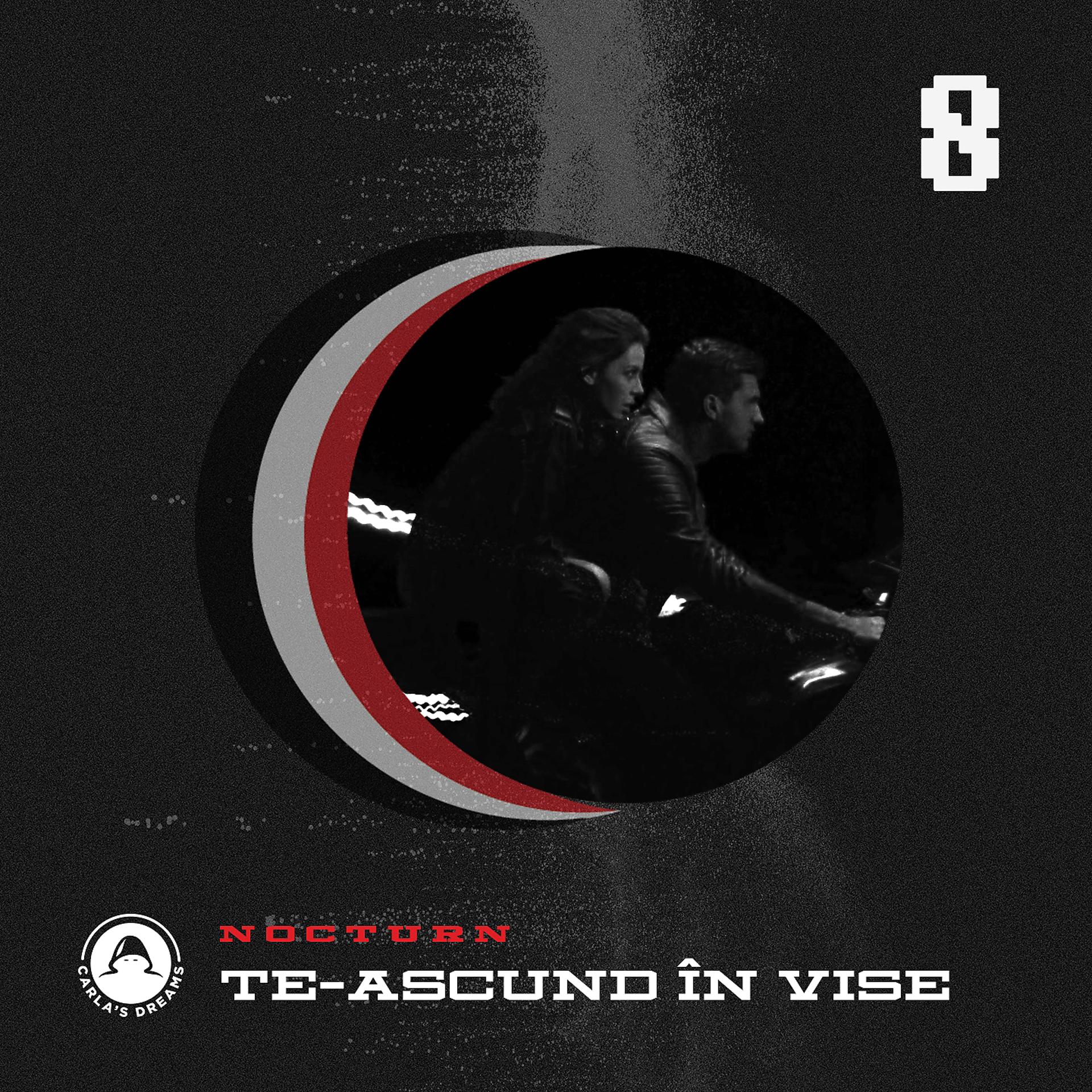 Постер альбома Te-Ascund In Vise