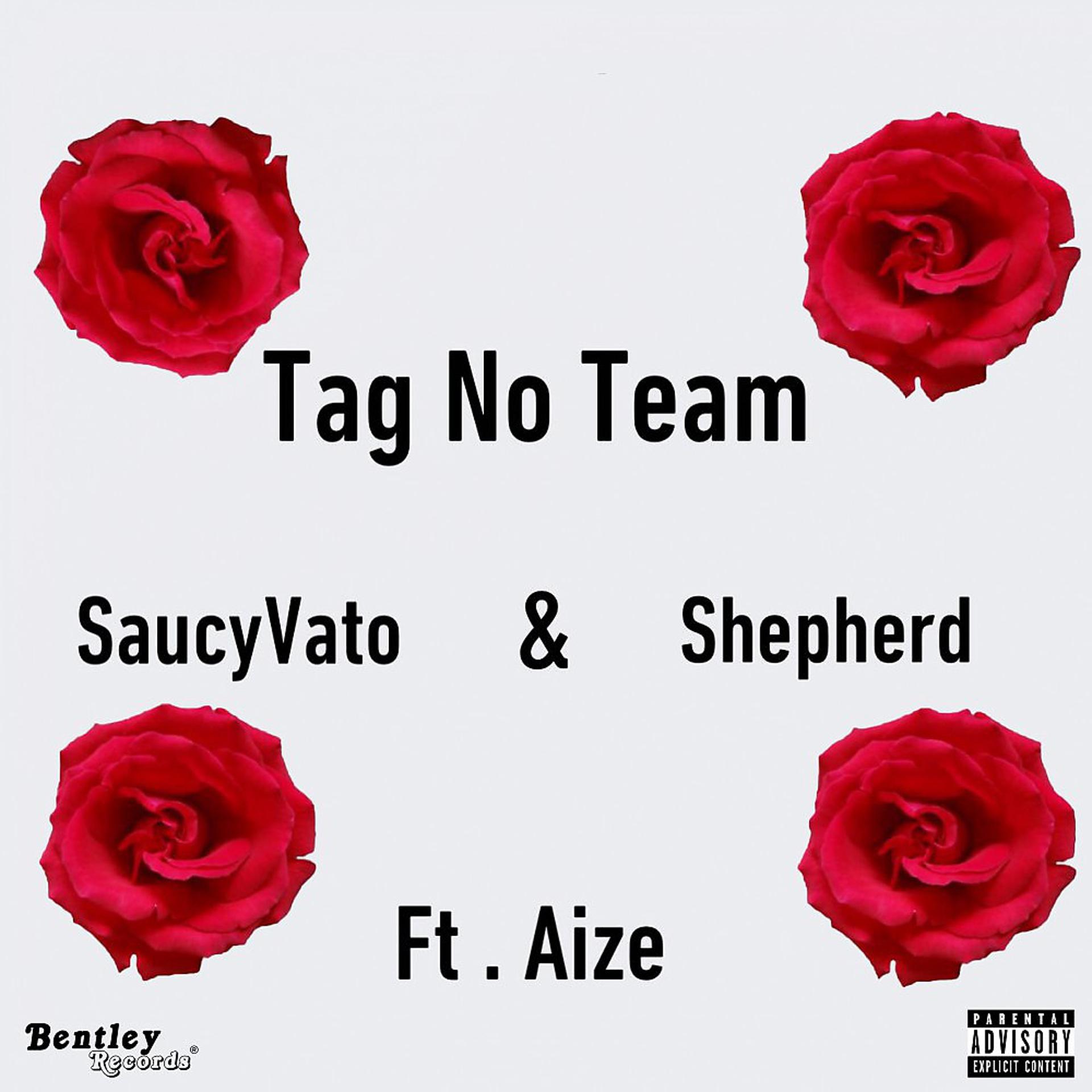 Постер альбома Tag No Team