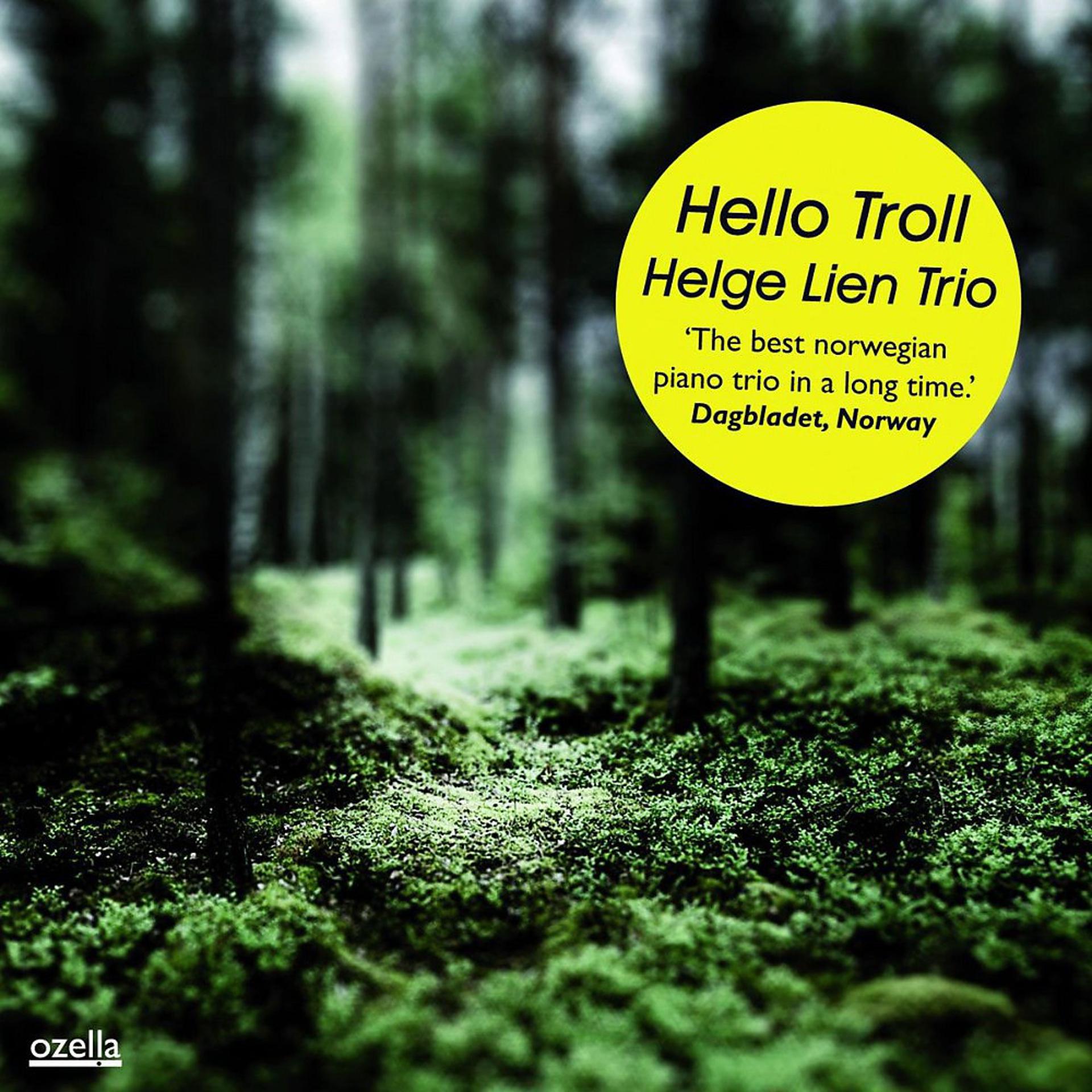 Постер альбома Hello Troll