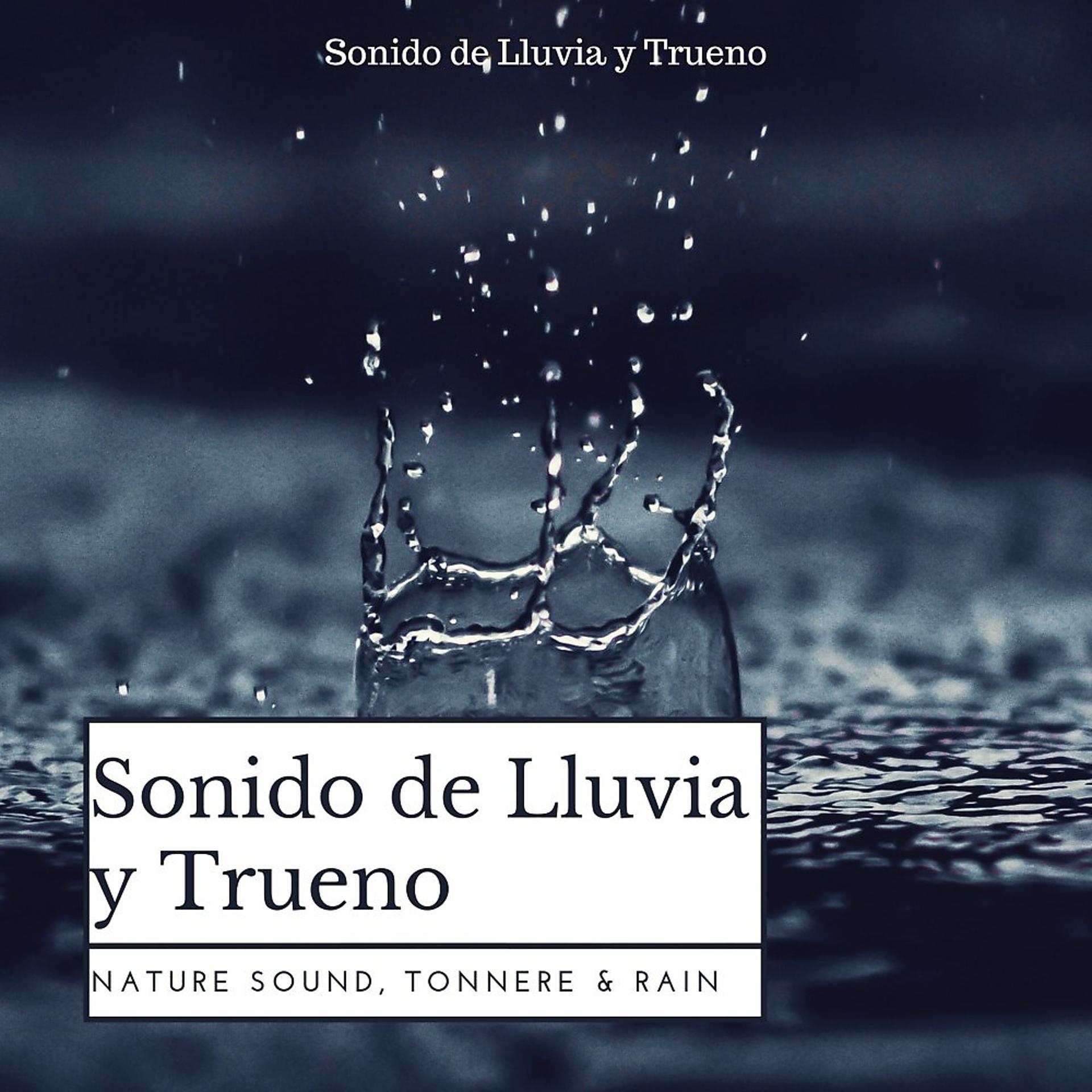 Постер альбома Sonido De Lluvia Y Trueno (Nature Sound, Tonnere & Rain)