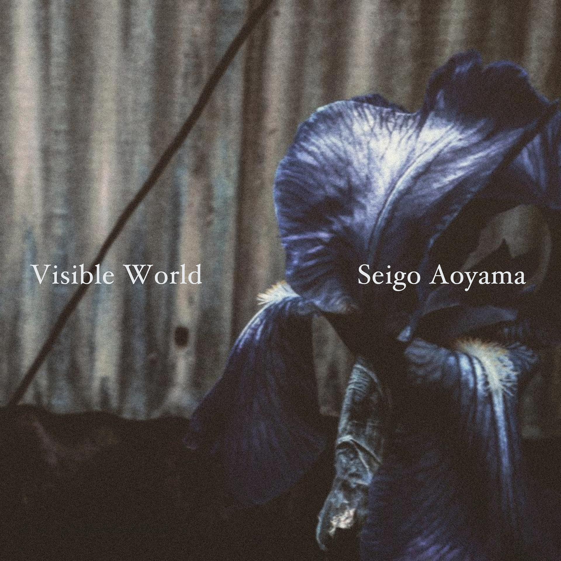 Постер альбома Visible World