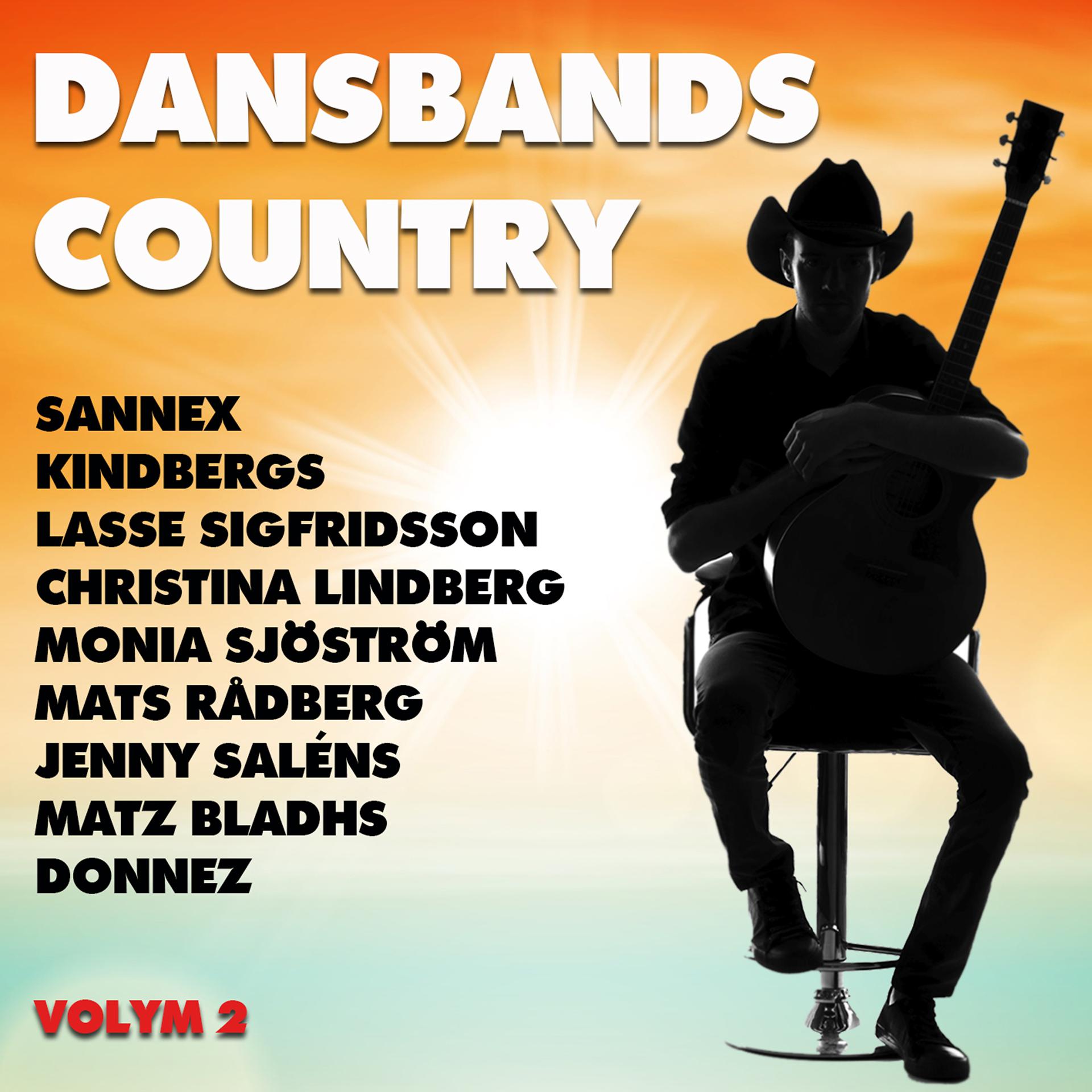 Постер альбома Dansband Country Volym 2