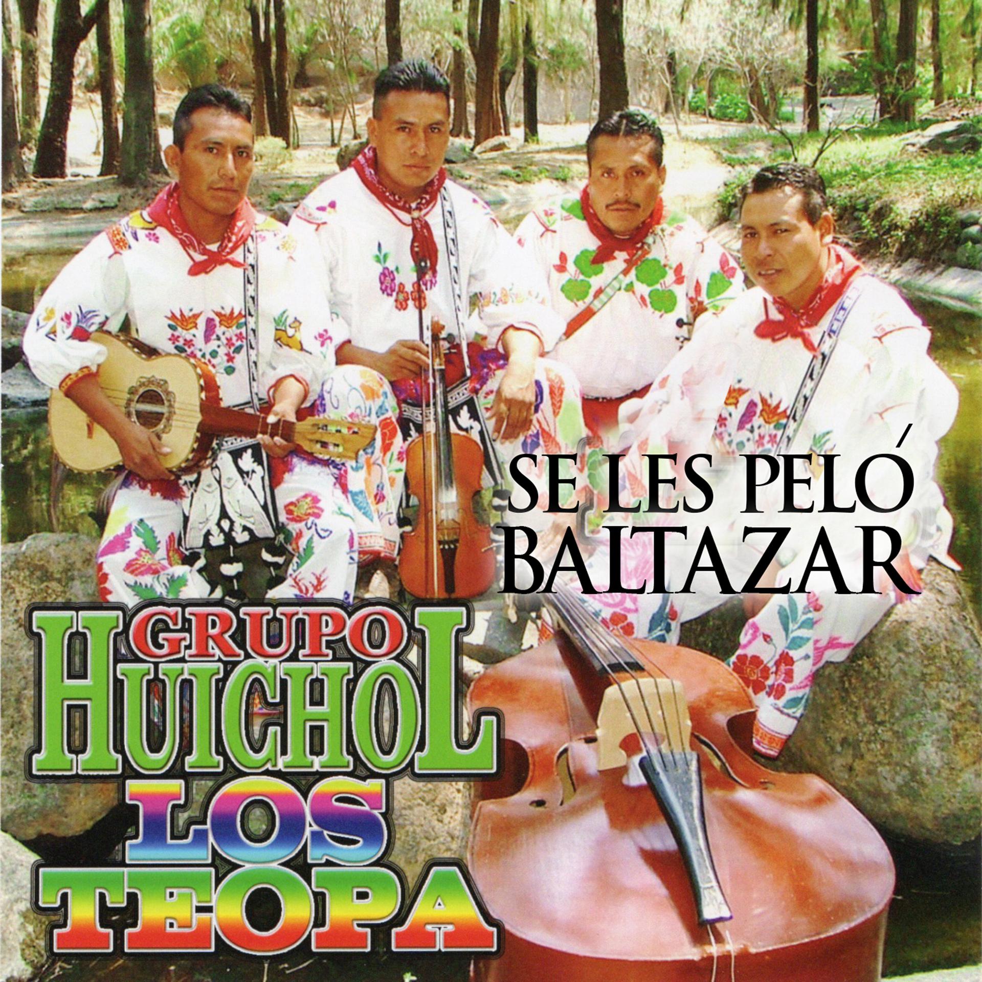 Постер альбома Se Les Peló Baltazar