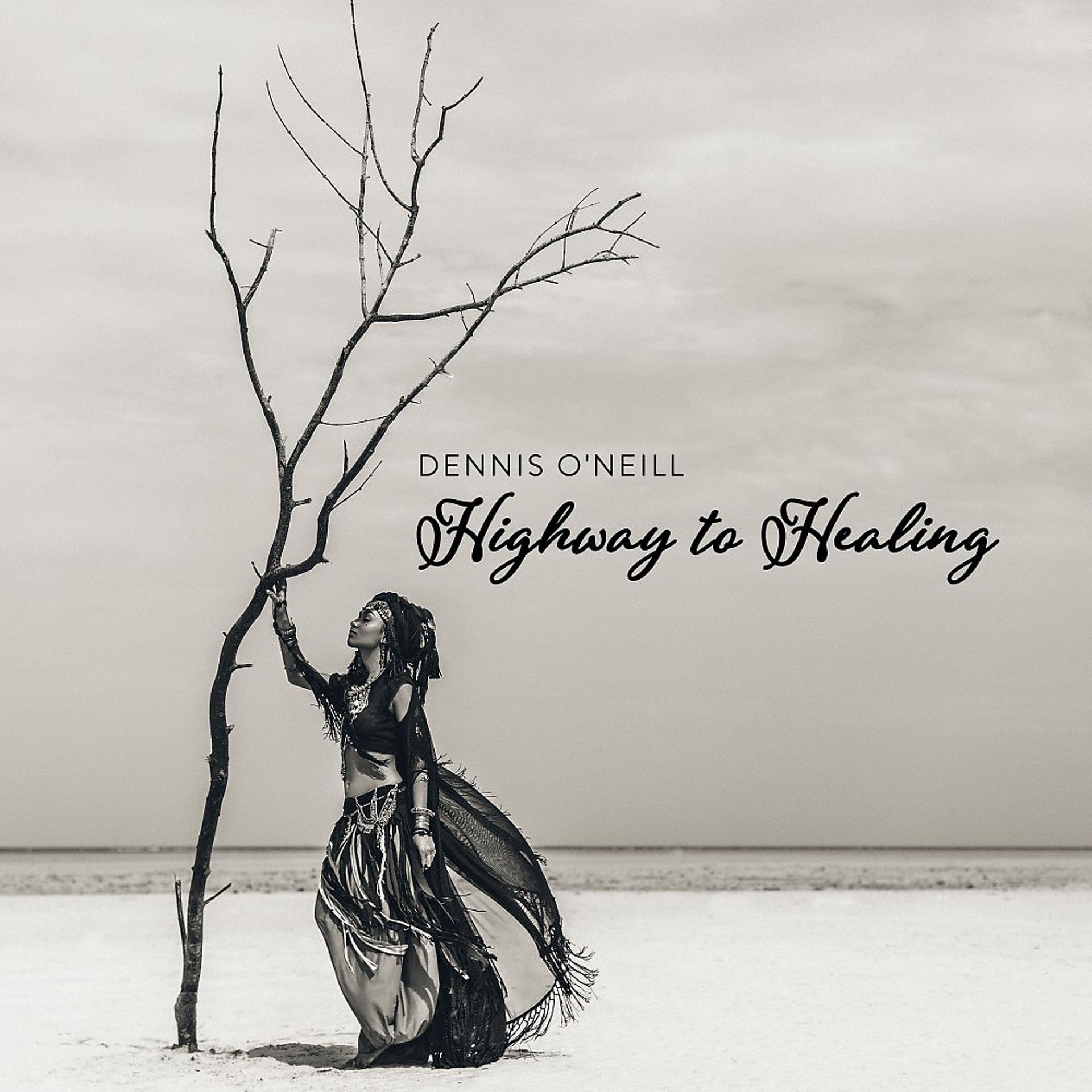 Постер альбома Highway to Healing