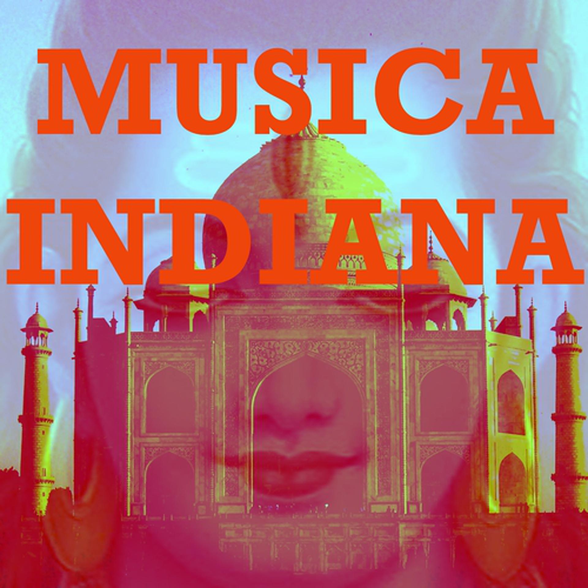 Постер альбома Musica indiana