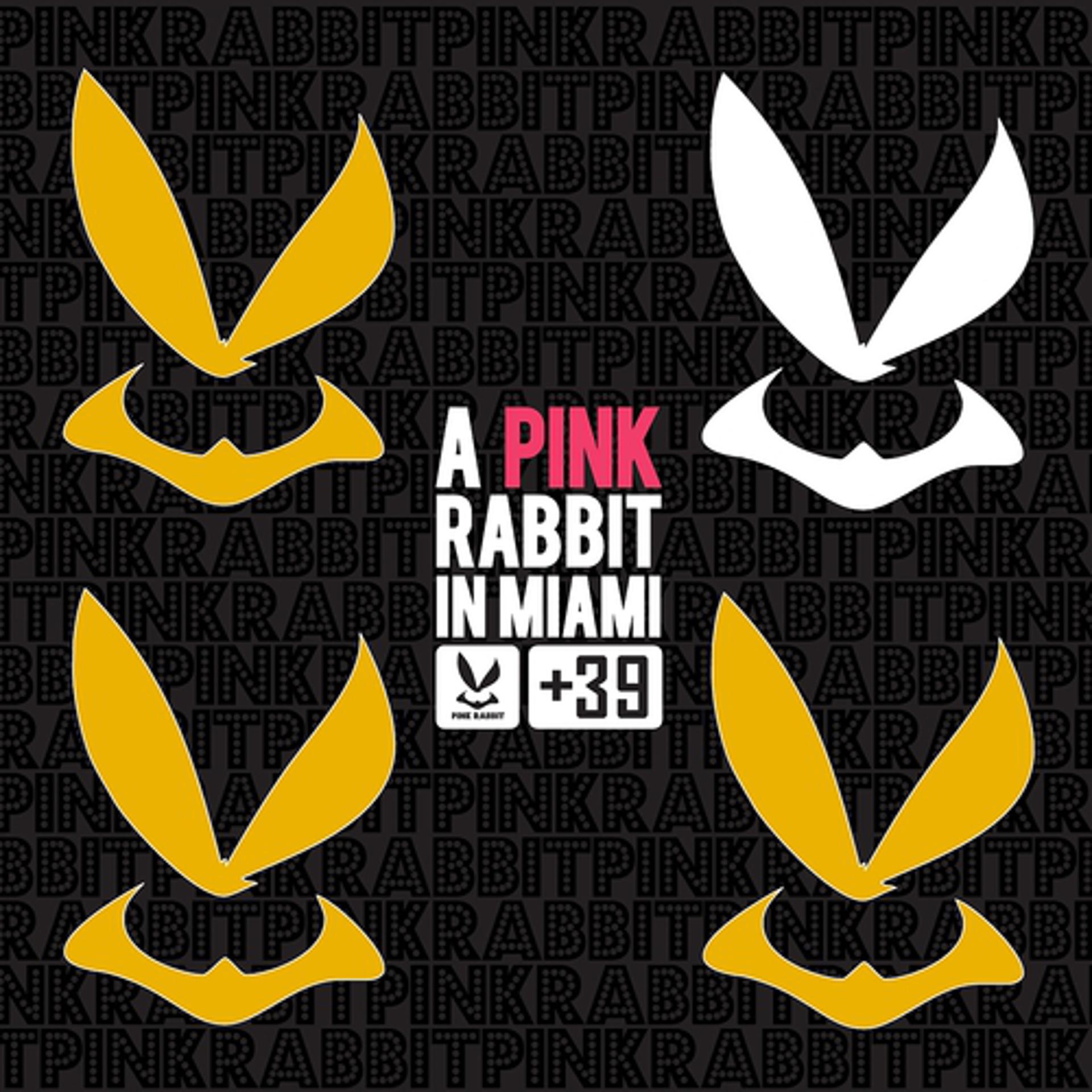 Постер альбома A Pink Rabbit In Miami 2011