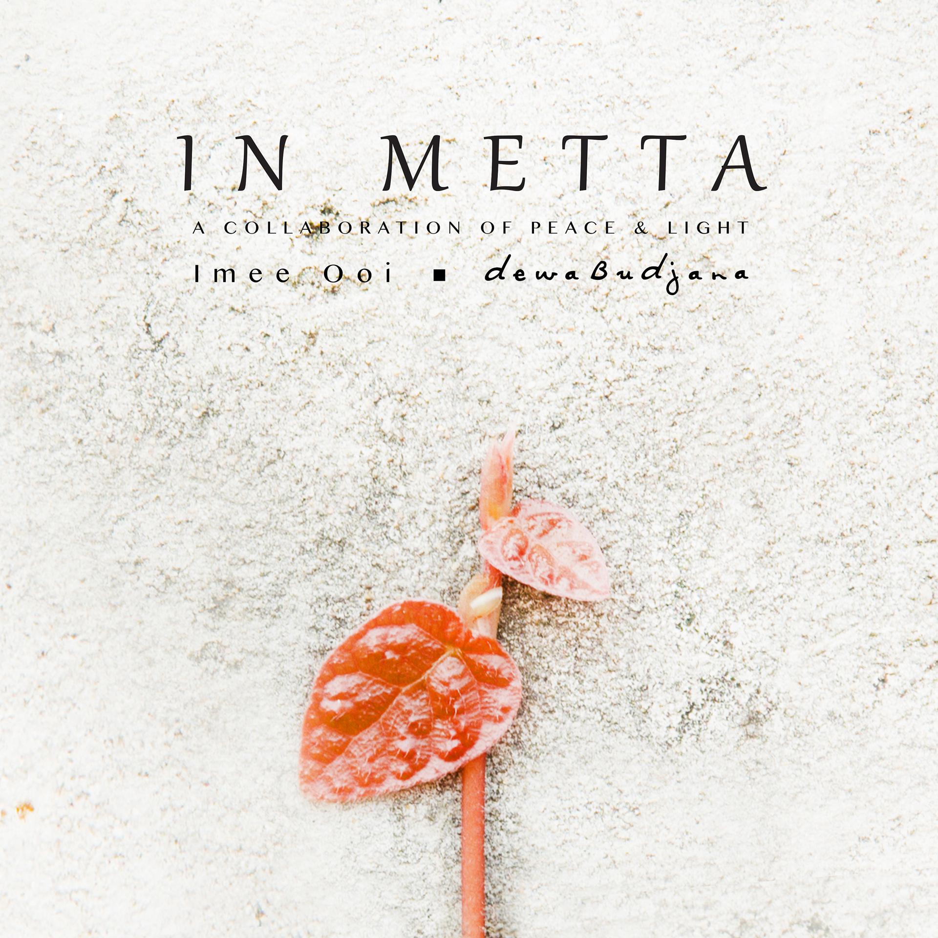Постер альбома In Metta (A Collaboration of Peace & Light) - EP
