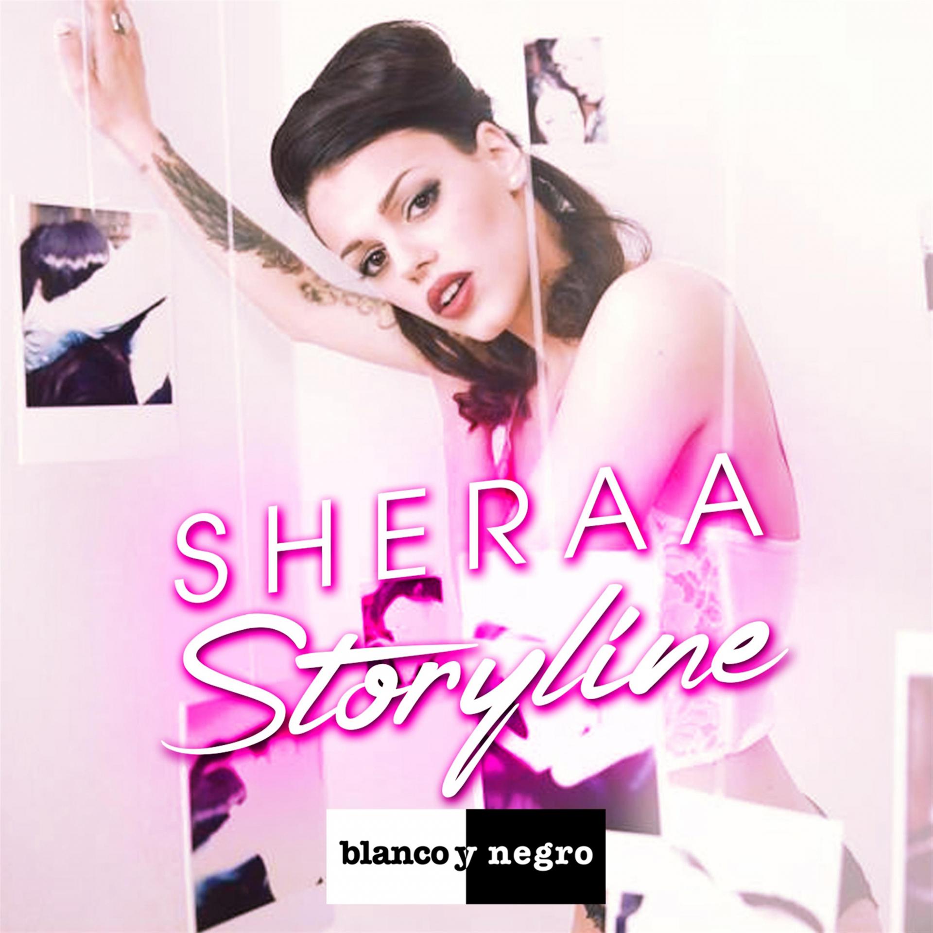 Постер альбома Storyline
