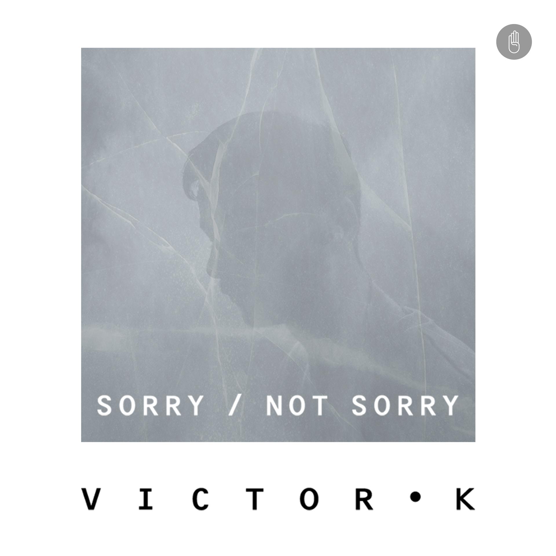 Постер альбома Sorry/not Sorry
