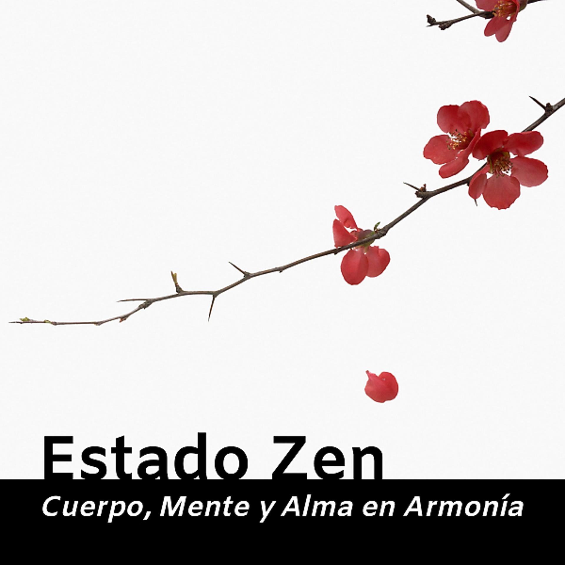 Постер альбома Estado Zen - Cuerpo, Mente y Alma en Armonía