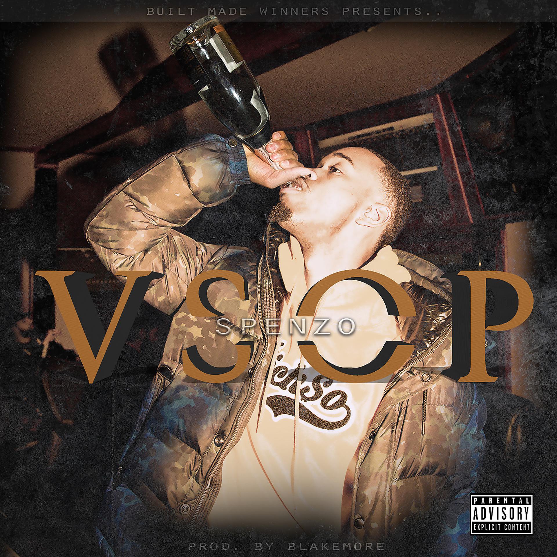 Постер альбома Vsop