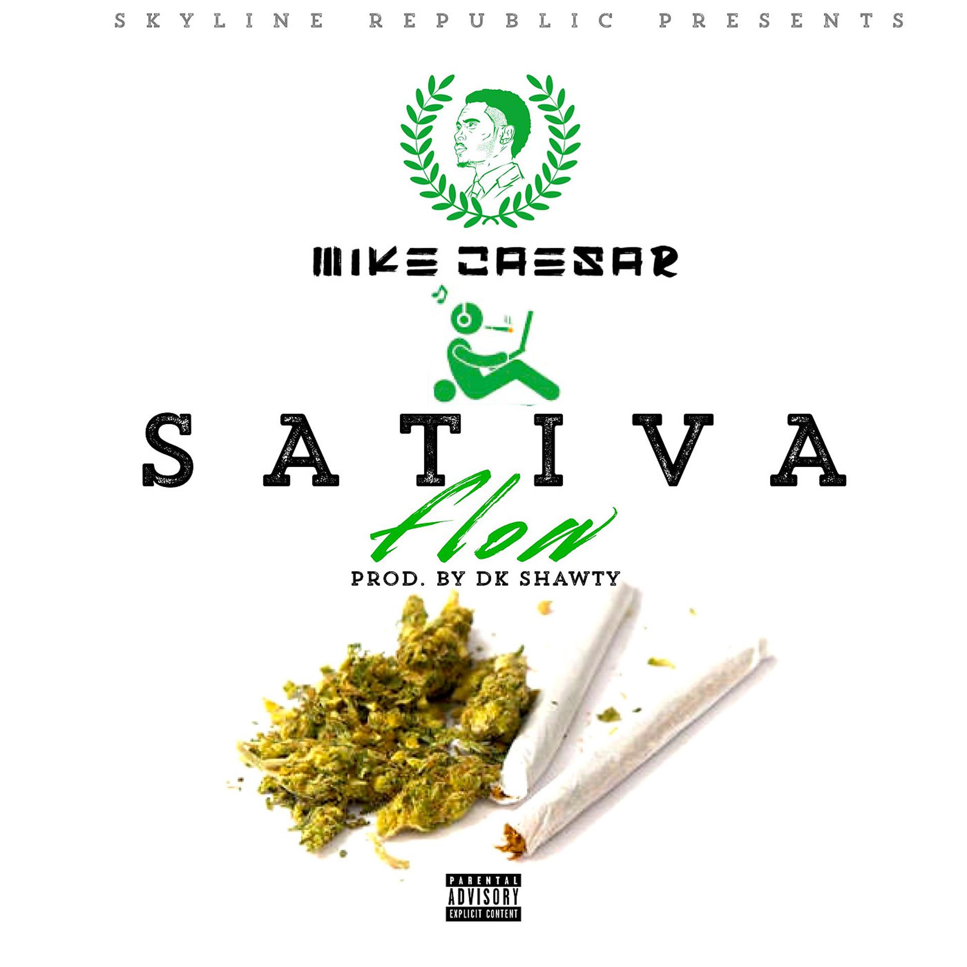 Постер альбома Sativa Flow