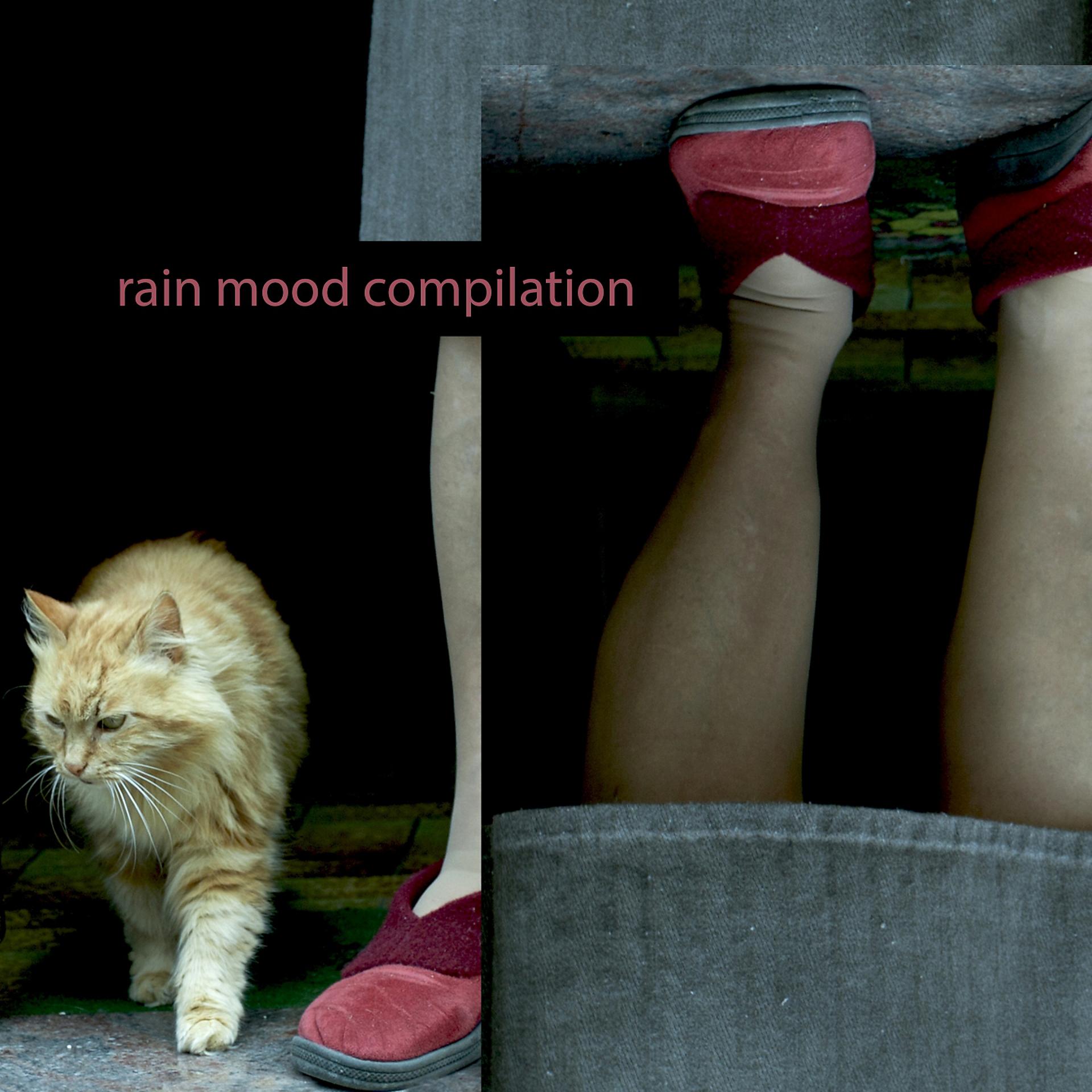 Постер альбома Rain mood compilation