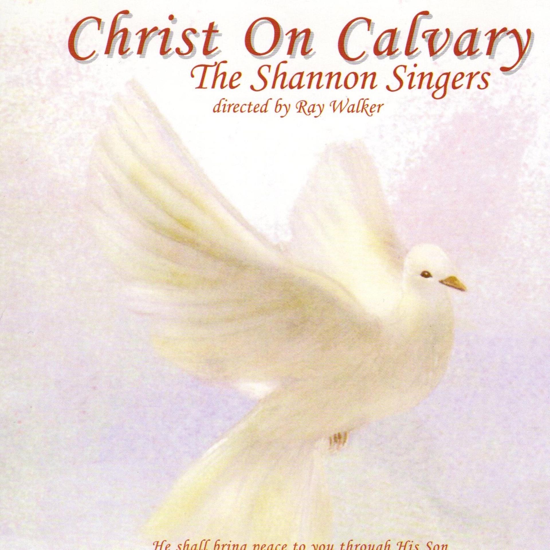 Постер альбома Christ on Calvary